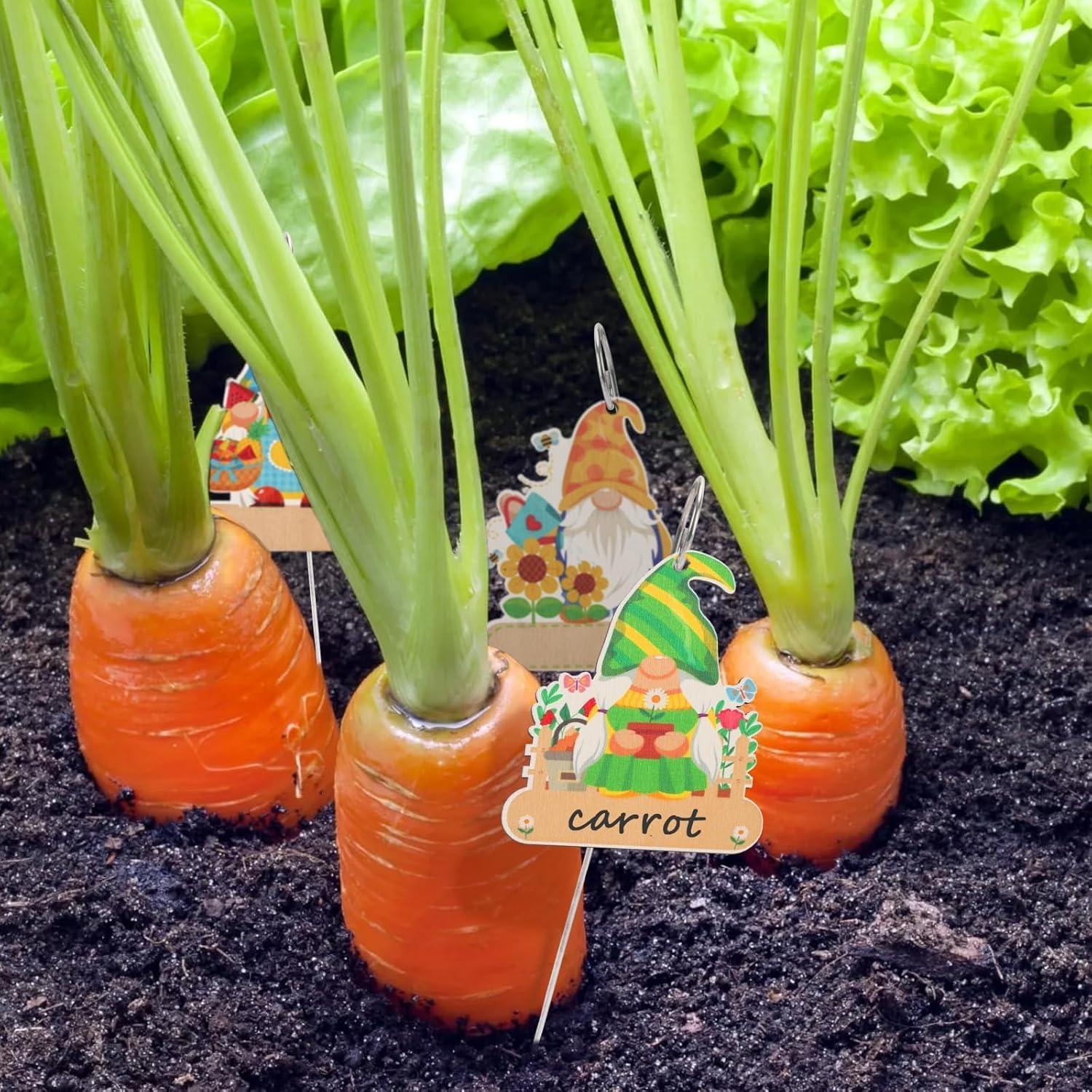 UPINS 24 Etiquetas de Gnomos para Jardín - Madera Impermeable