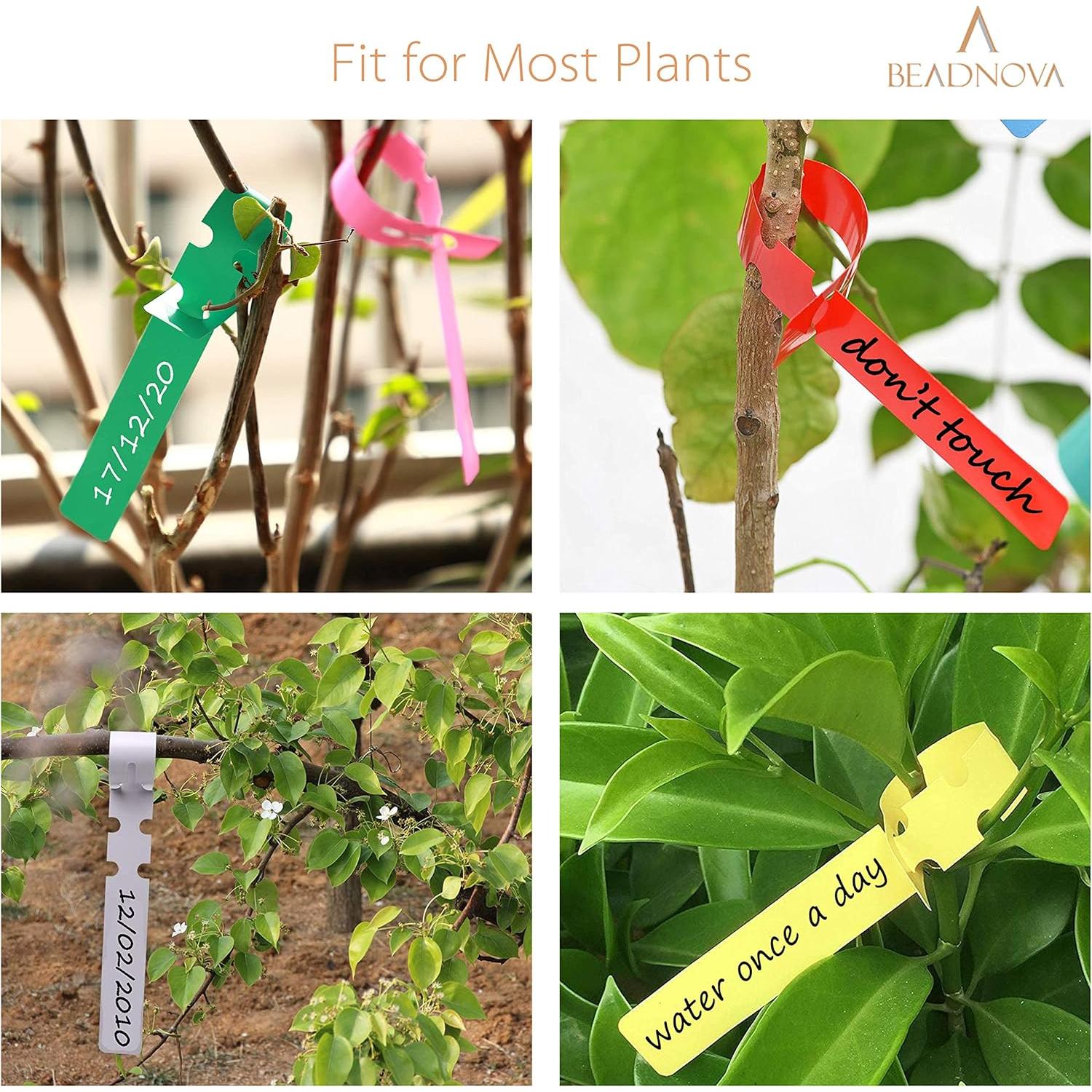 Etiquetas de Plantas BEADNOVA 120 Pcs Multicolor 21x2 cm