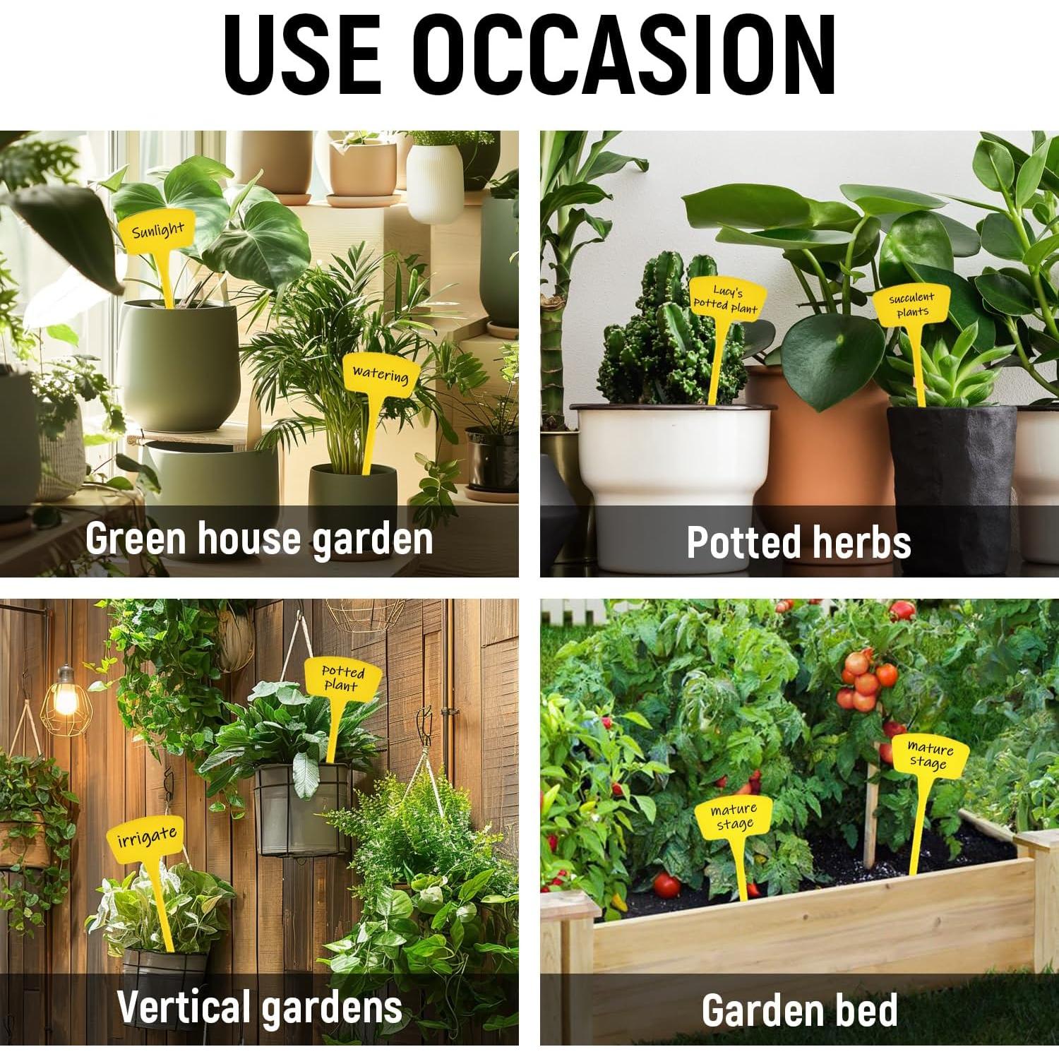 Etiquetas para Plantas T Tipo Yuanling 60 Pcs Amarillo