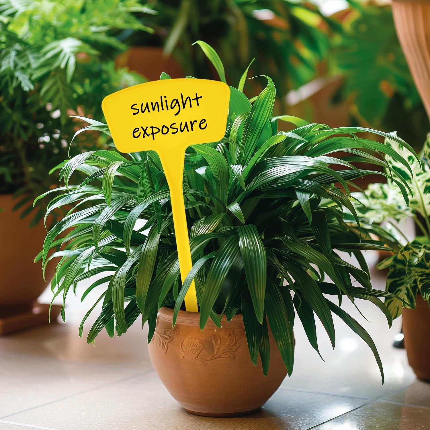 Etiquetas para Plantas T Tipo Yuanling 60 Pcs Amarillo