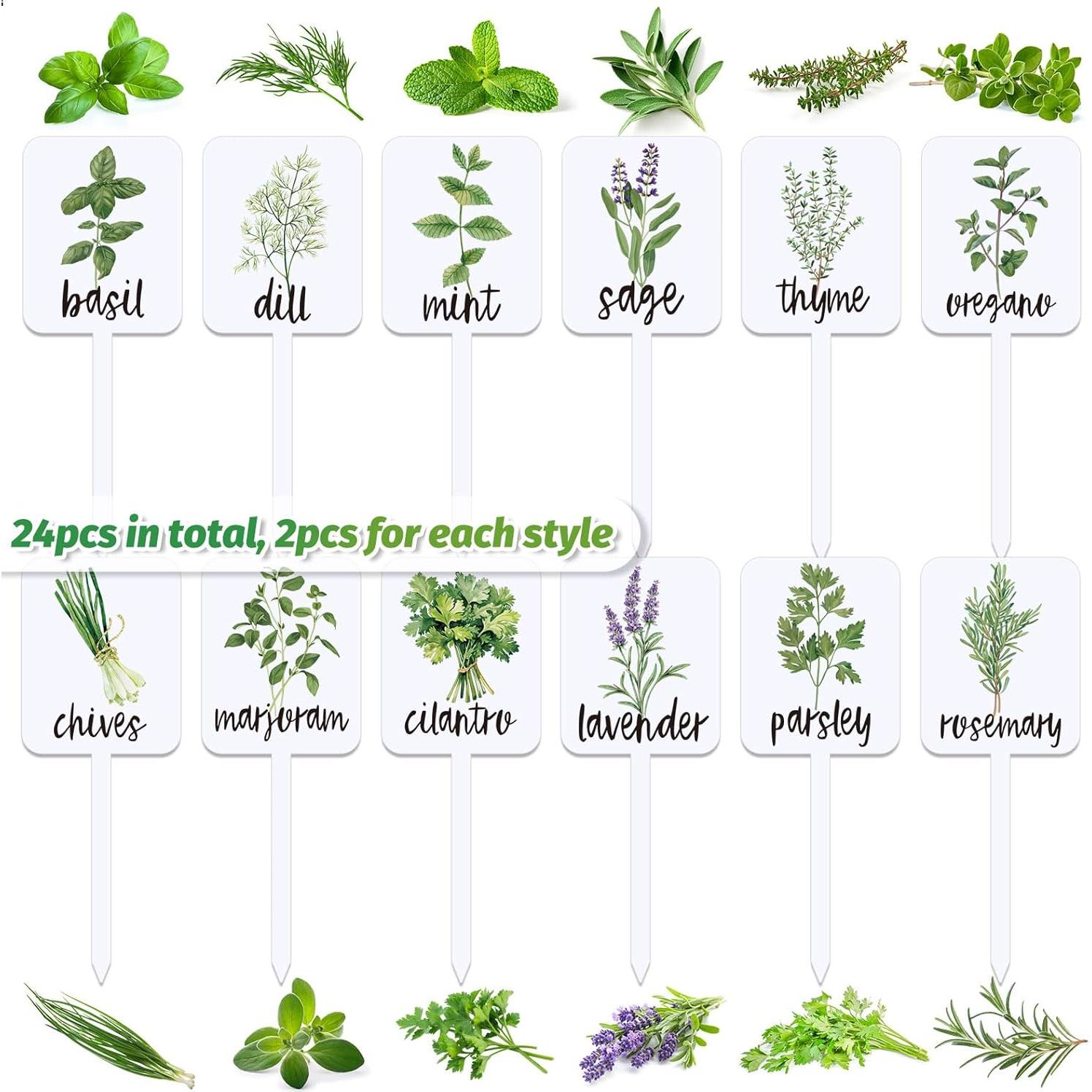 Etiquetas de Plantas Acrílicas Whaline 24 Pcs 12 Diseños