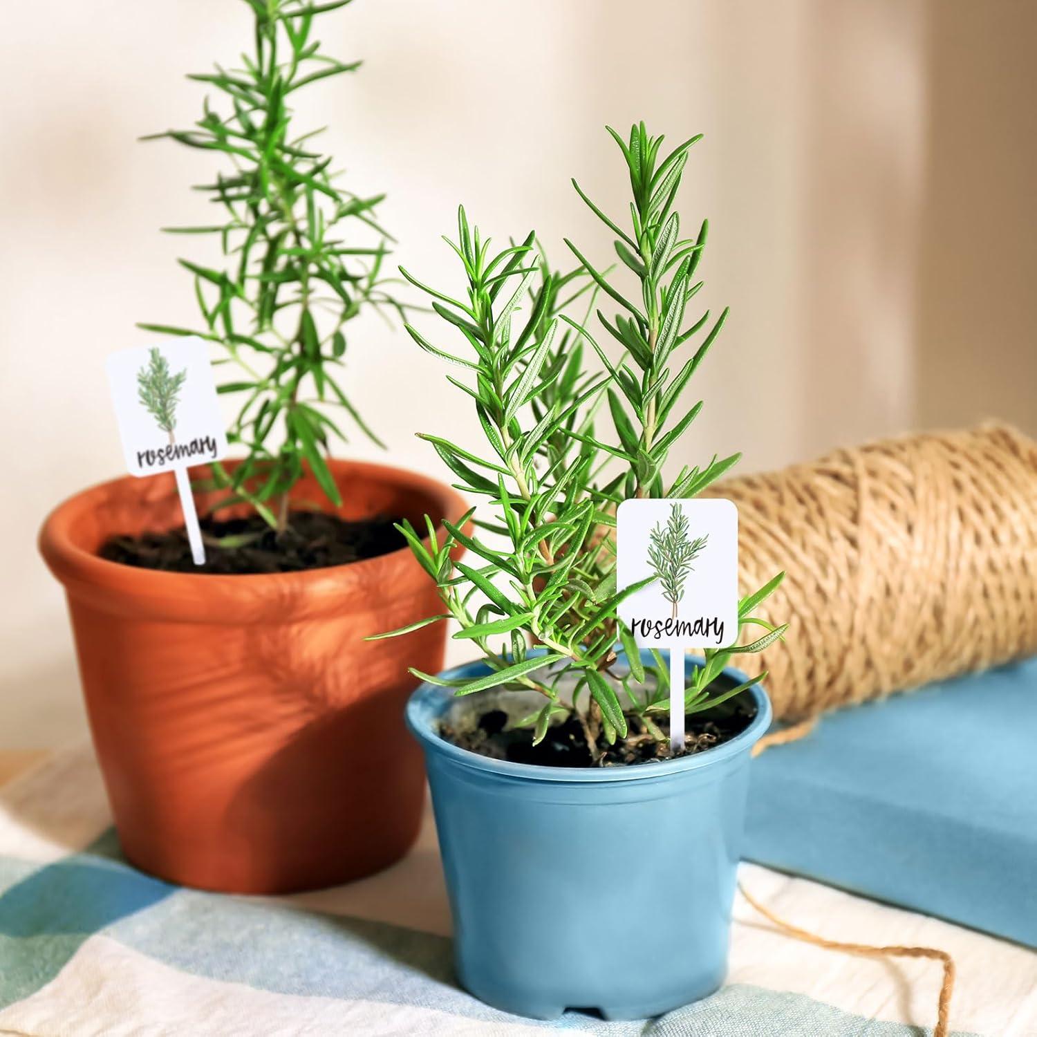 Etiquetas de Plantas Acrílicas Whaline 24 Pcs 12 Diseños