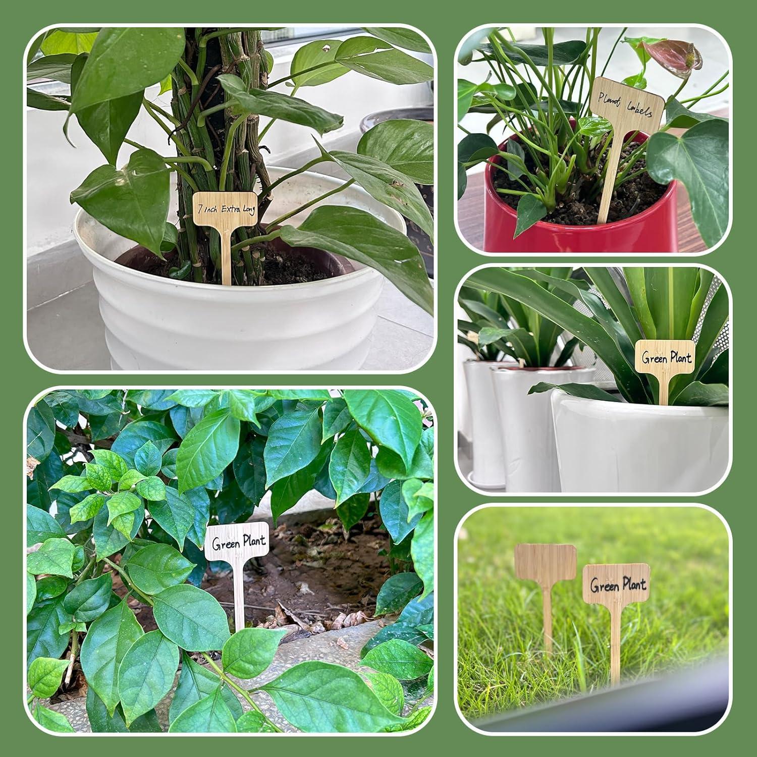 20 Etiquetas de Planta Tipo T de Bambú FAMLEAF 18 cm