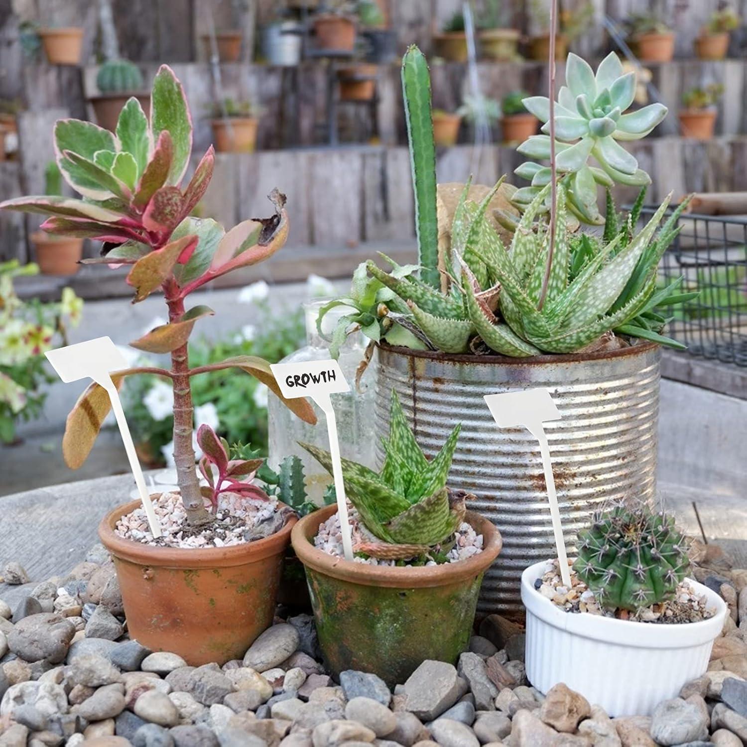 Etiquetas de Jardín de Plástico KINGLAKE GARDEN 30 pcs 30cm