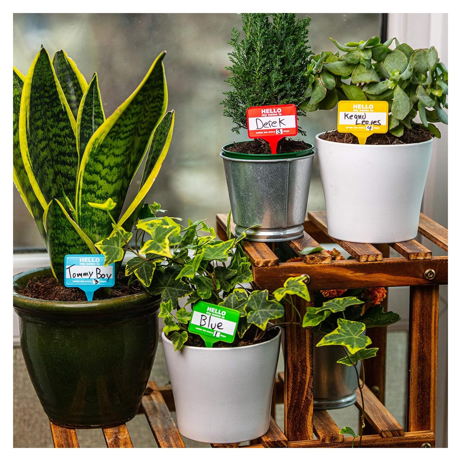 Etiquetas Borrables para Plantas Bubblegum Stuff - 12 Unidades Recicladas