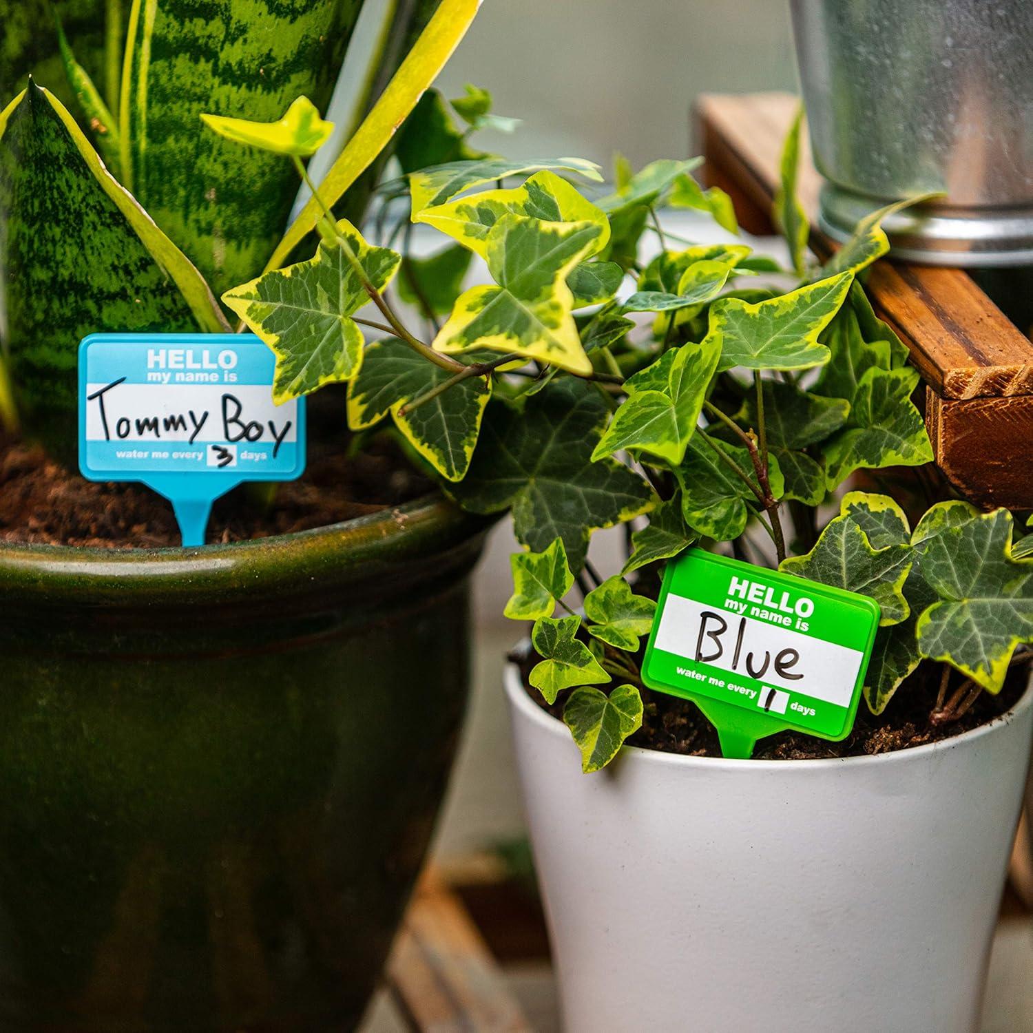 Etiquetas Borrables para Plantas Bubblegum Stuff - 12 Unidades Recicladas