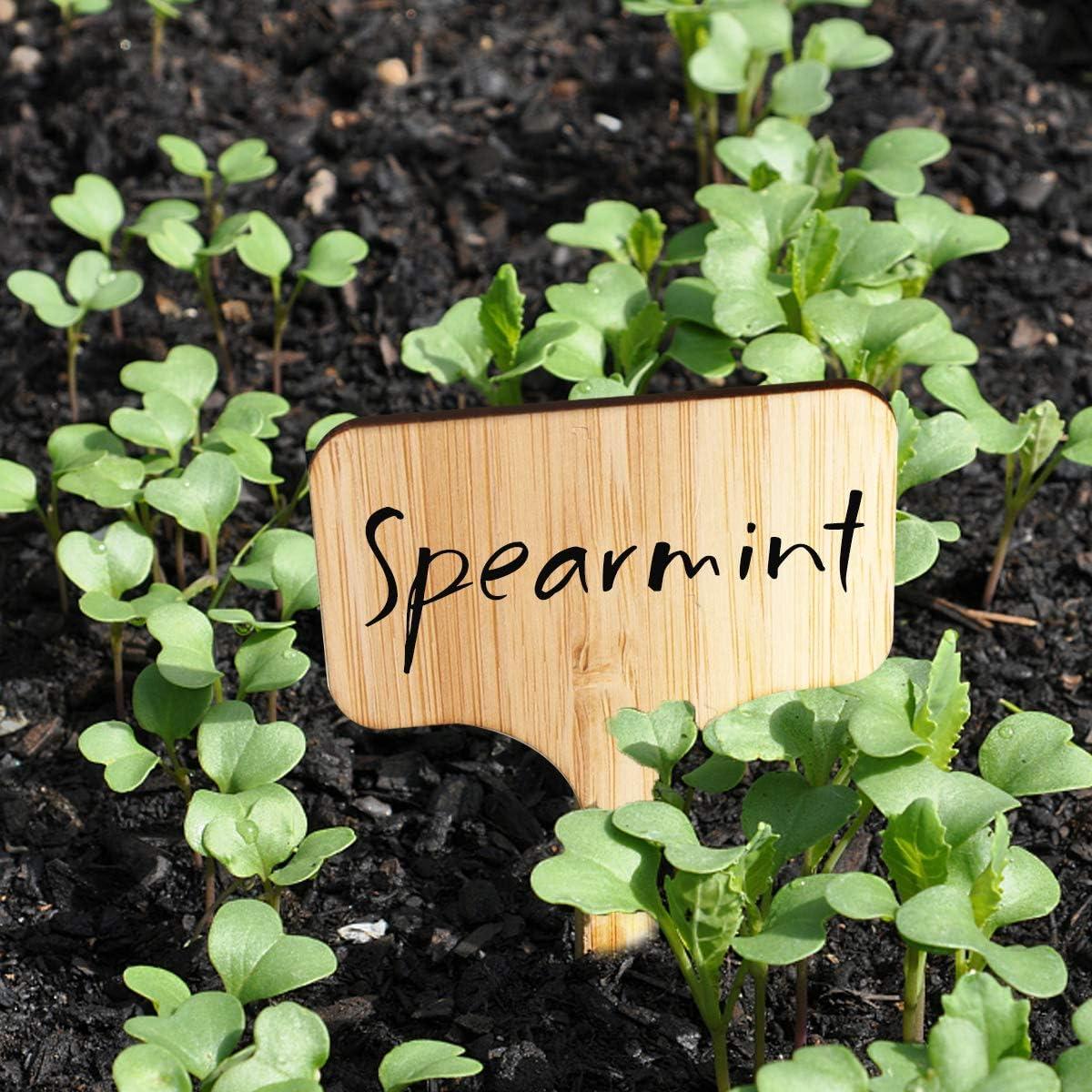 Etiquetas de Planta de Bambú Homenote 60 Pcs 6x10 cm