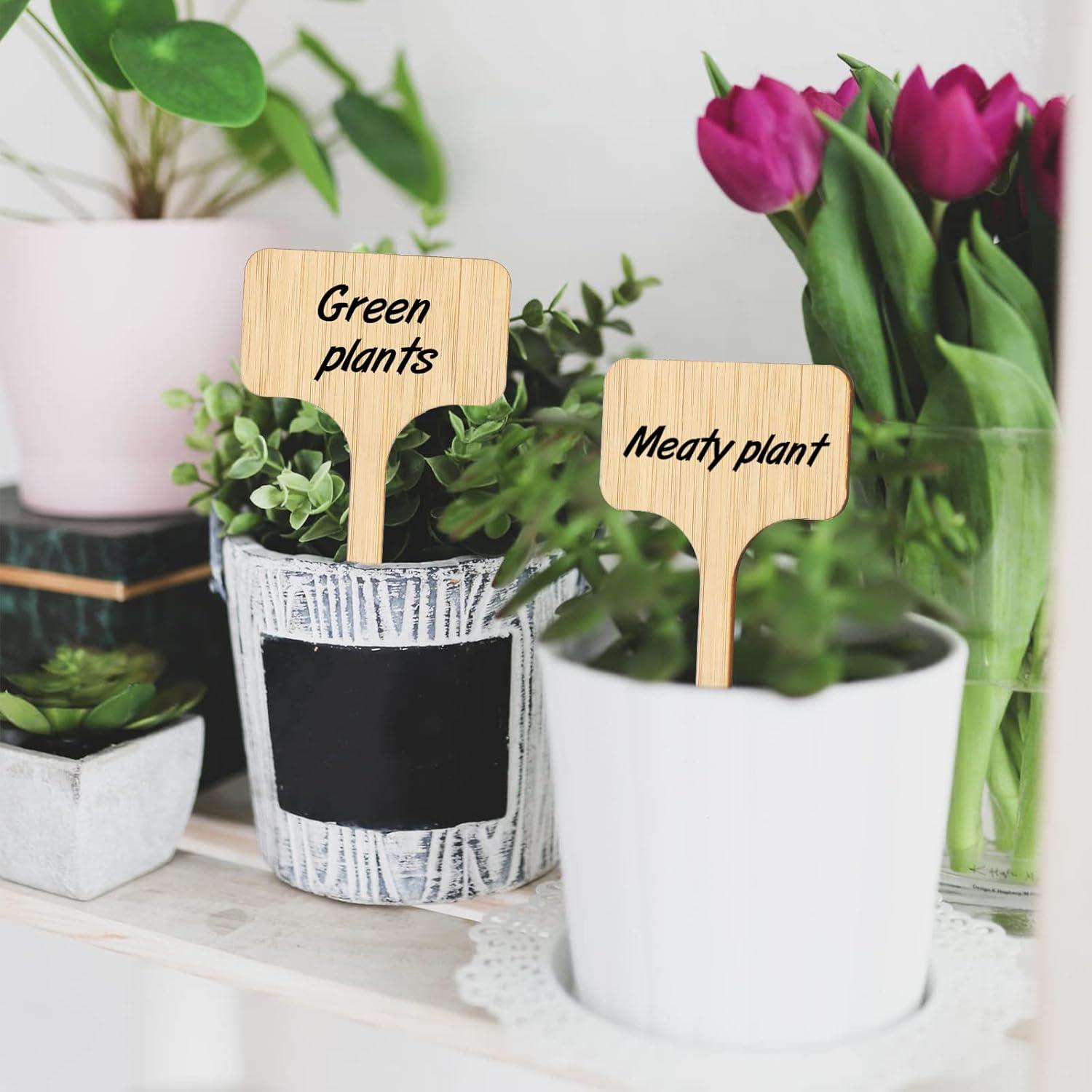 Marcadores de Jardín de Madera Tipo T Kinglake - 60 Pcs