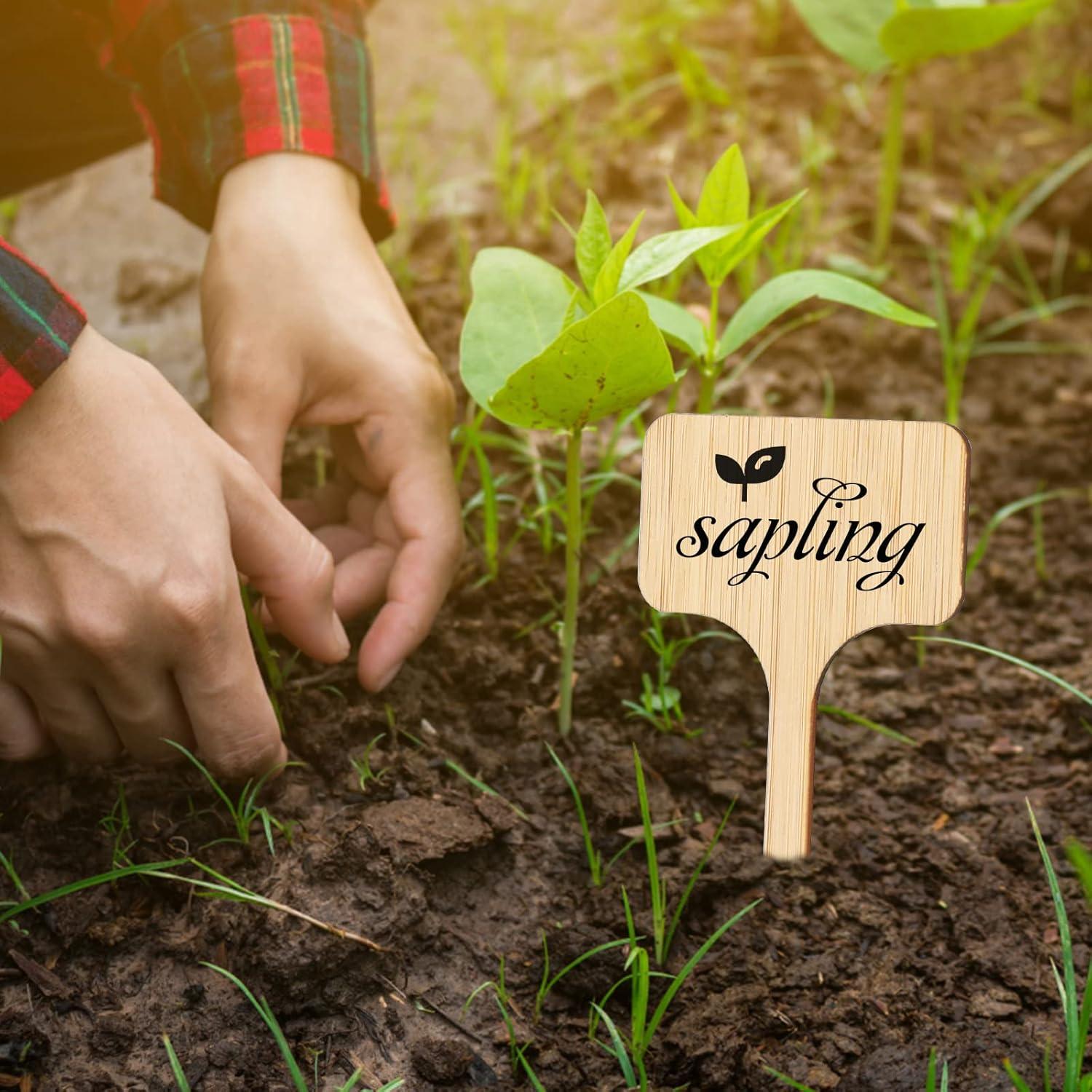 Marcadores de Jardín de Madera Tipo T Kinglake - 60 Pcs