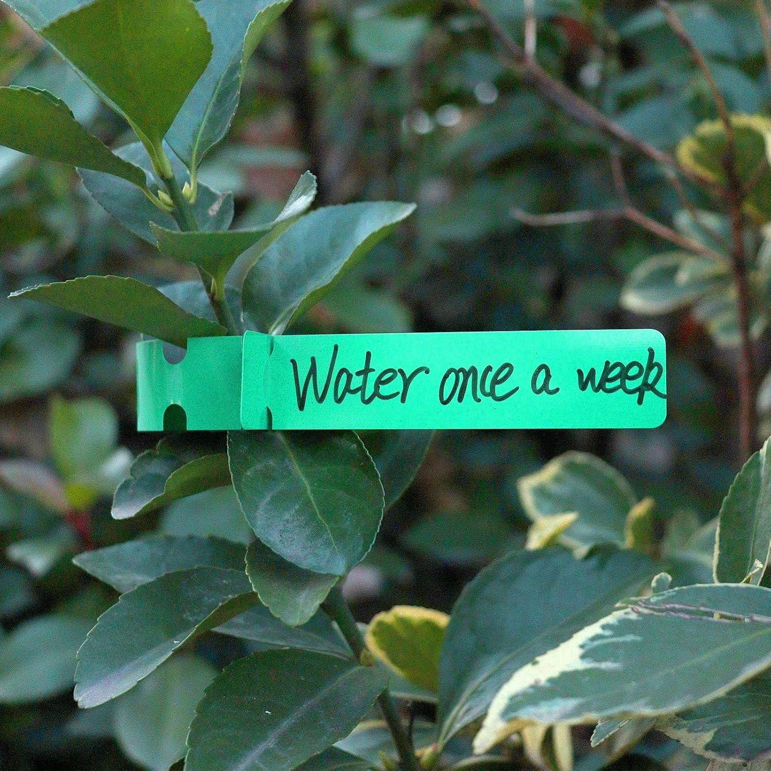 200 Etiquetas de Plantas AIQINHU PVC Verde 21 cm Impermeables