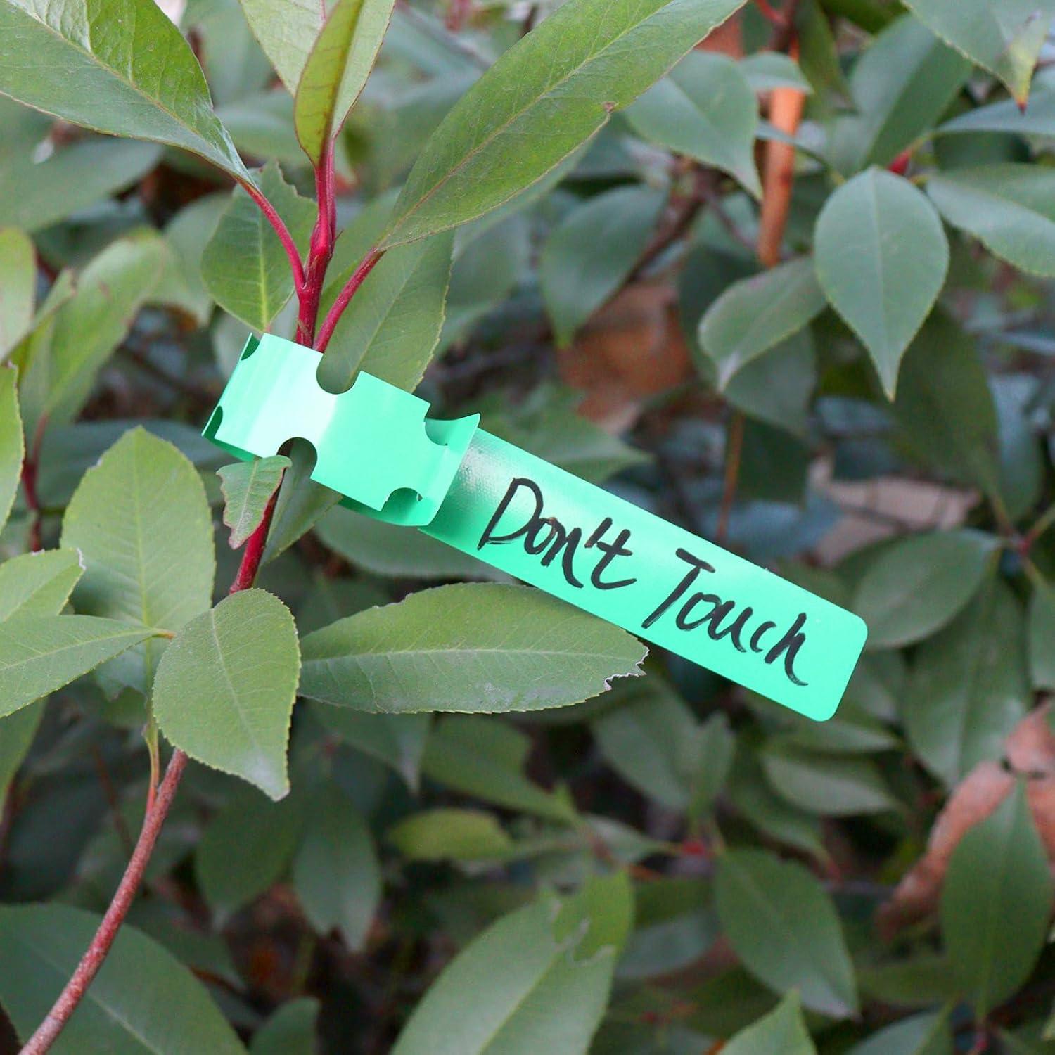 200 Etiquetas de Plantas AIQINHU PVC Verde 21 cm Impermeables