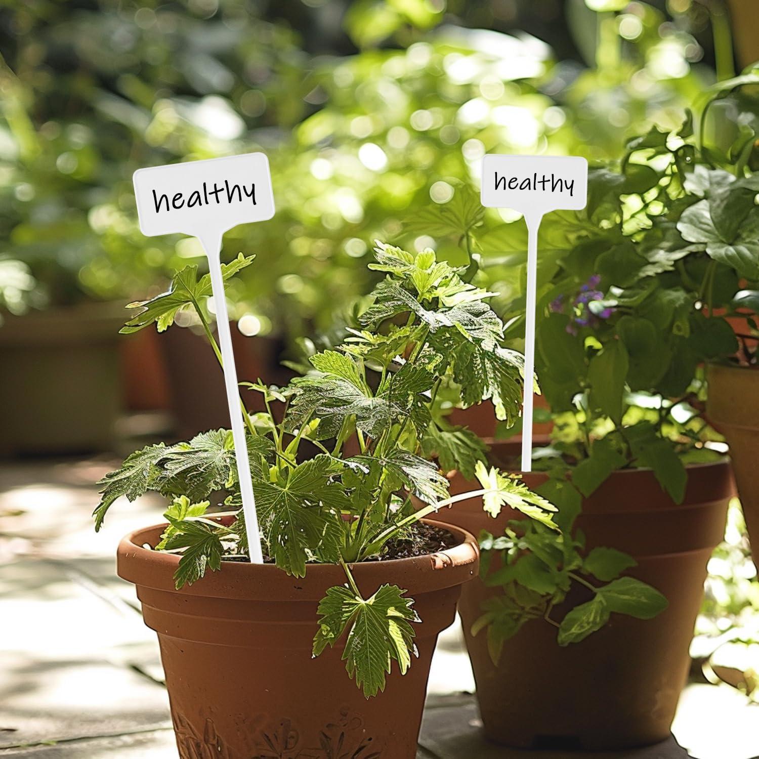 Etiquetas para Plantas Yuanling 60PCS T-Tipo 29cm Plástico