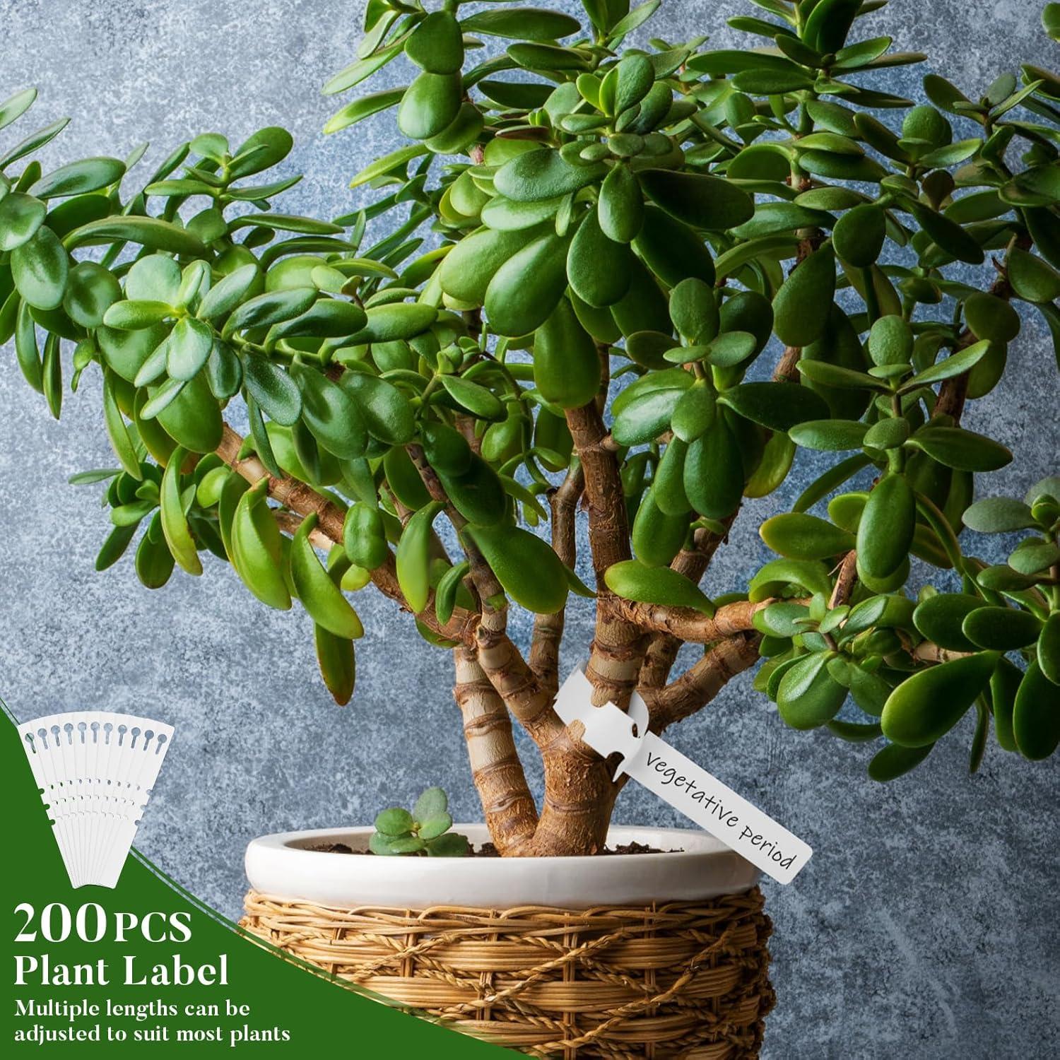 200 Etiquetas de Plástico para Plantas Chyaya con Bolígrafo