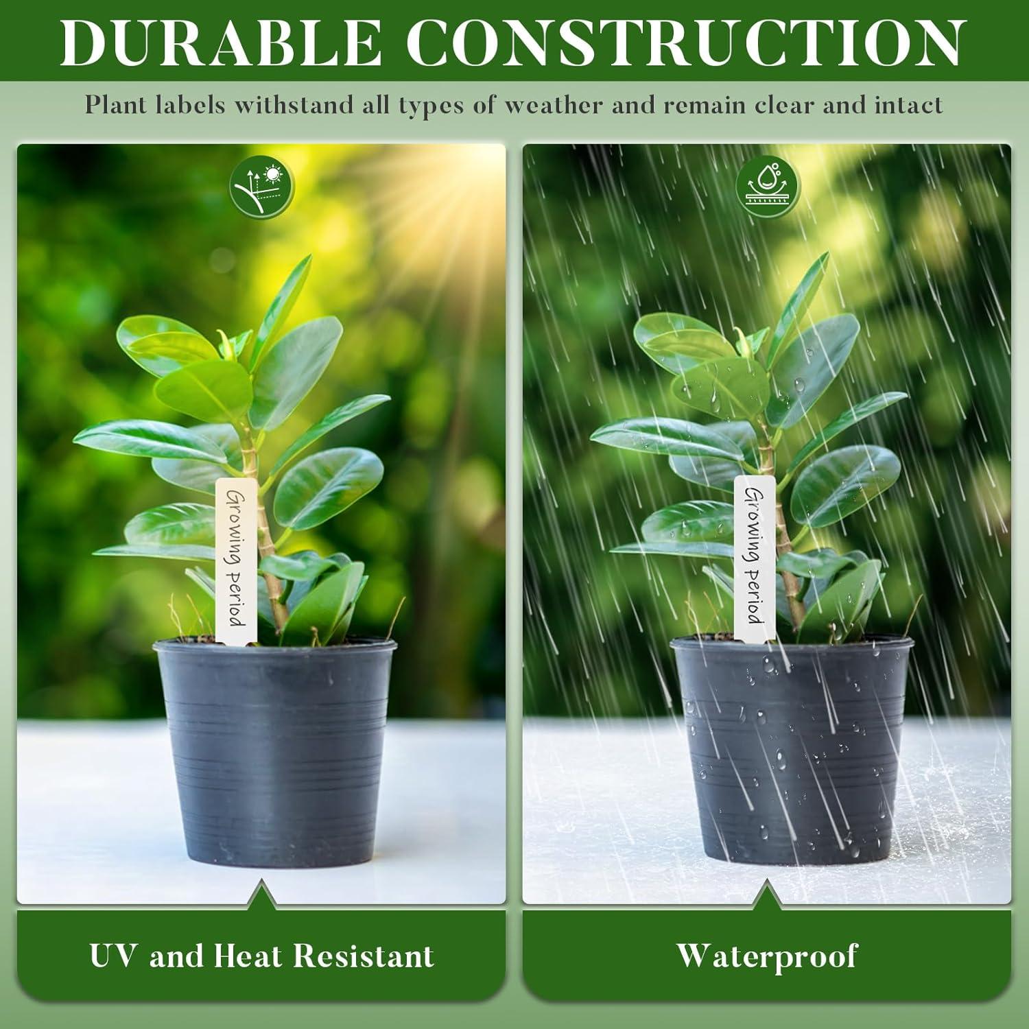 200 Etiquetas de Plástico para Plantas Chyaya con Bolígrafo