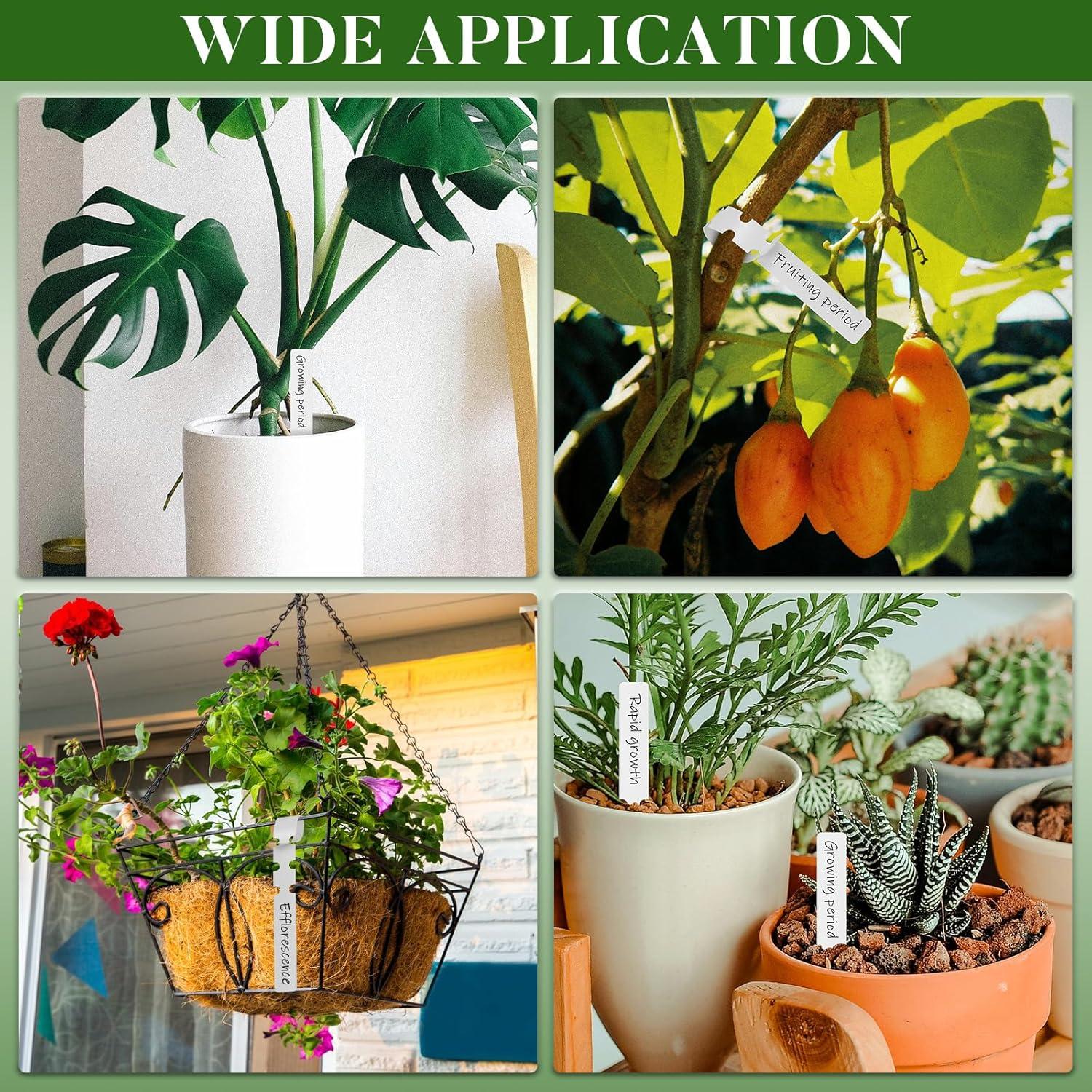 200 Etiquetas de Plástico para Plantas Chyaya con Bolígrafo