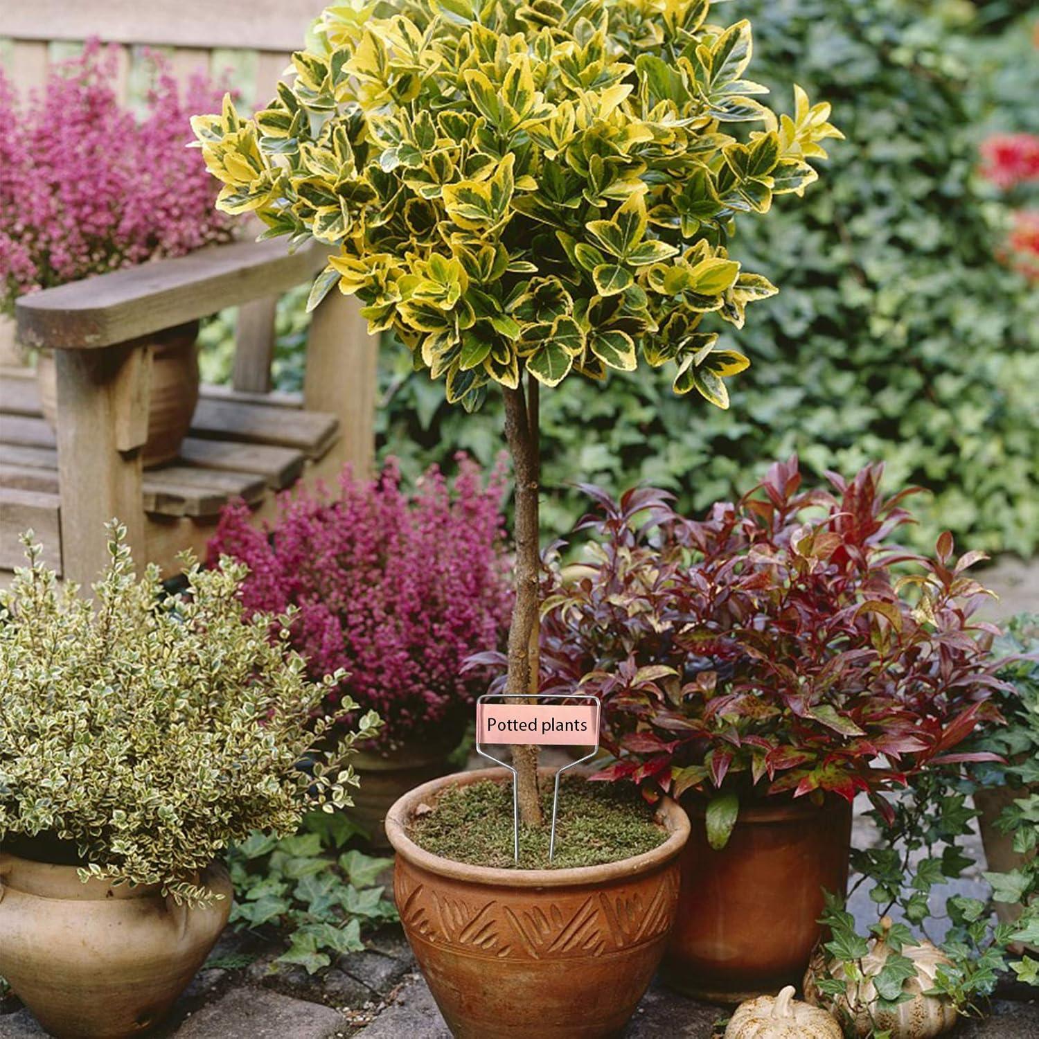 40 Etiquetas de Metal para Plantas Wehhbtye - Cobre Resistente