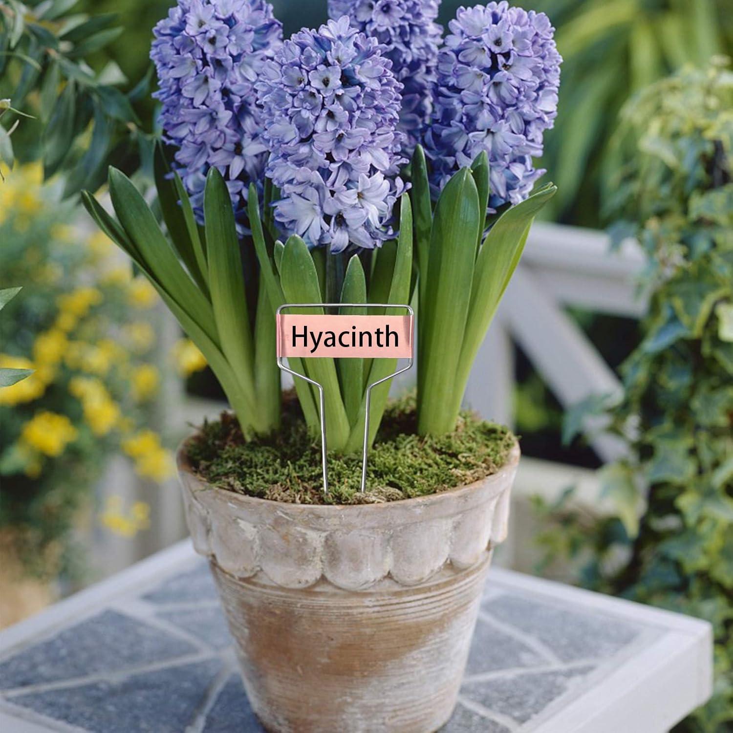 40 Etiquetas de Metal para Plantas Wehhbtye - Cobre Resistente