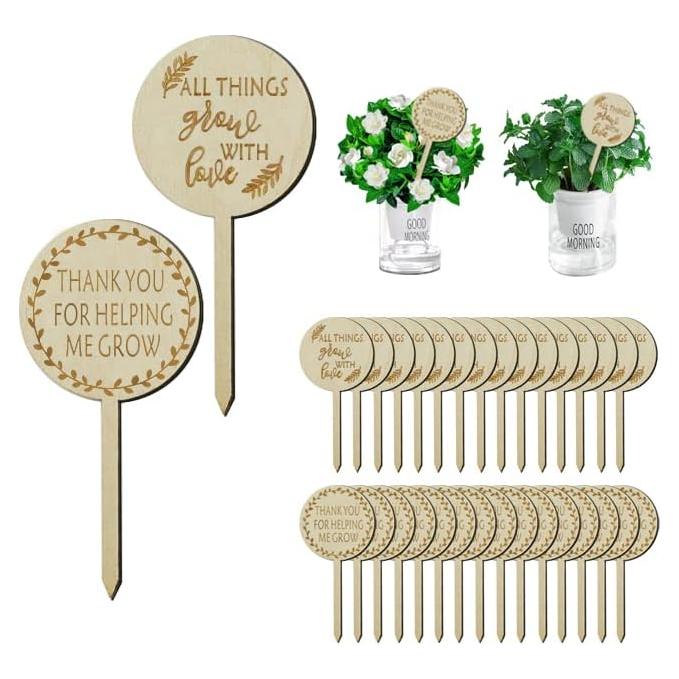 Etiquetas de Madera para Plantas L7HWDP - Paquete de 30