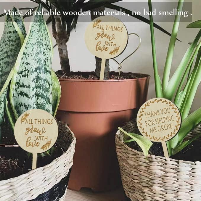 Etiquetas de Madera para Plantas L7HWDP - Paquete de 30