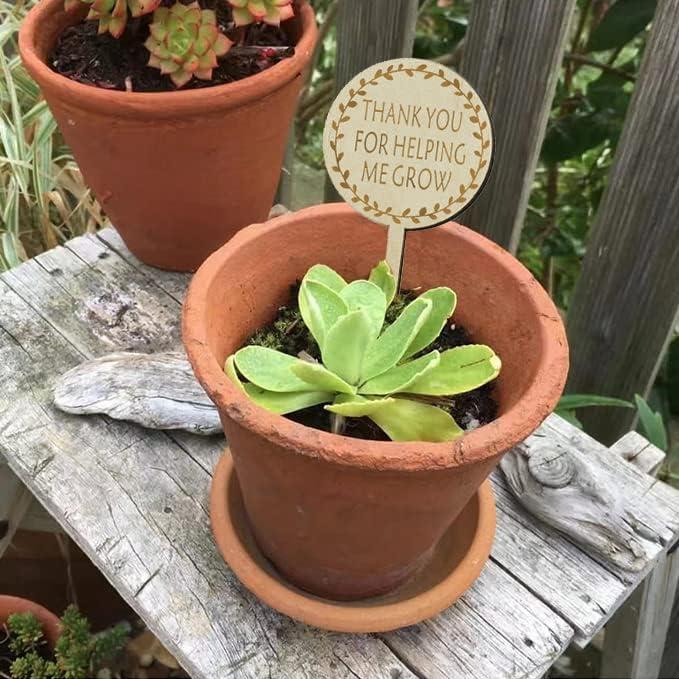 Etiquetas de Madera para Plantas L7HWDP - Paquete de 30