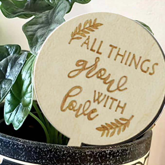 Etiquetas de Madera para Plantas L7HWDP - Paquete de 30