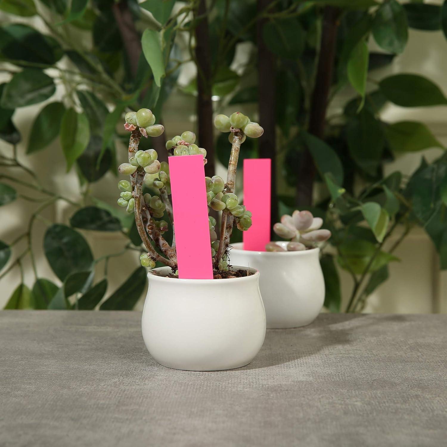 Etiquetas de Jardín MIHEY 1000 Pcs Rosa 10x2 cm PVC