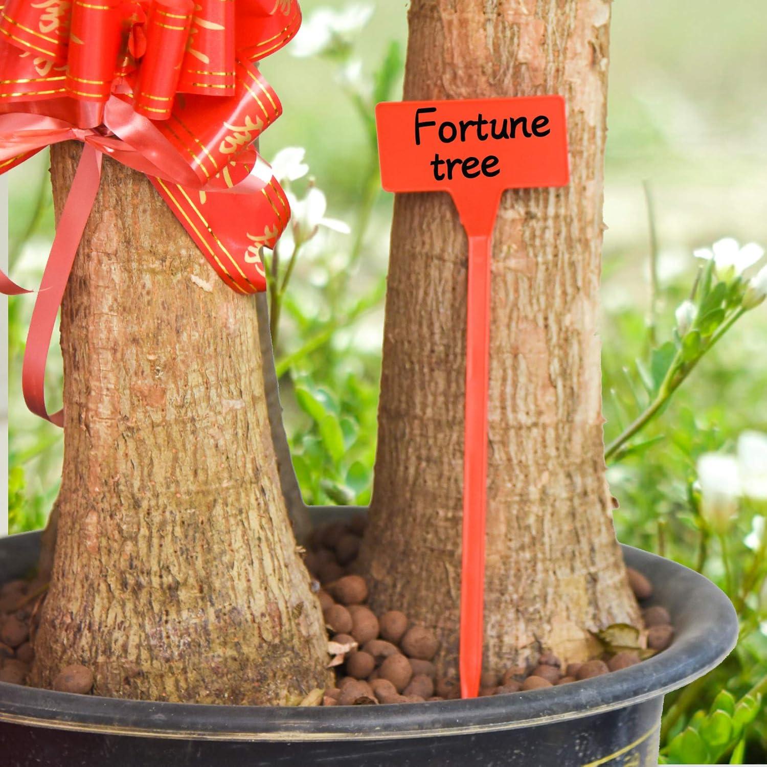 Etiquetas de Planta HOVEOX 24 Pcs T-Forma Reutilizables