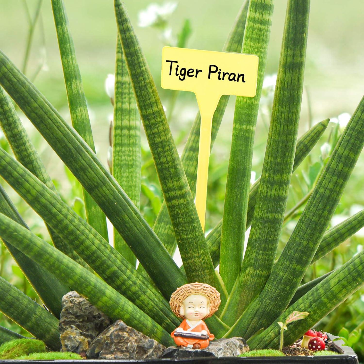 Etiquetas de Planta HOVEOX 24 Pcs T-Forma Reutilizables