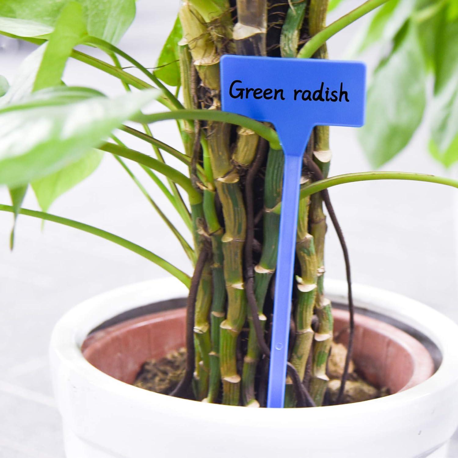 Etiquetas de Planta HOVEOX 24 Pcs T-Forma Reutilizables