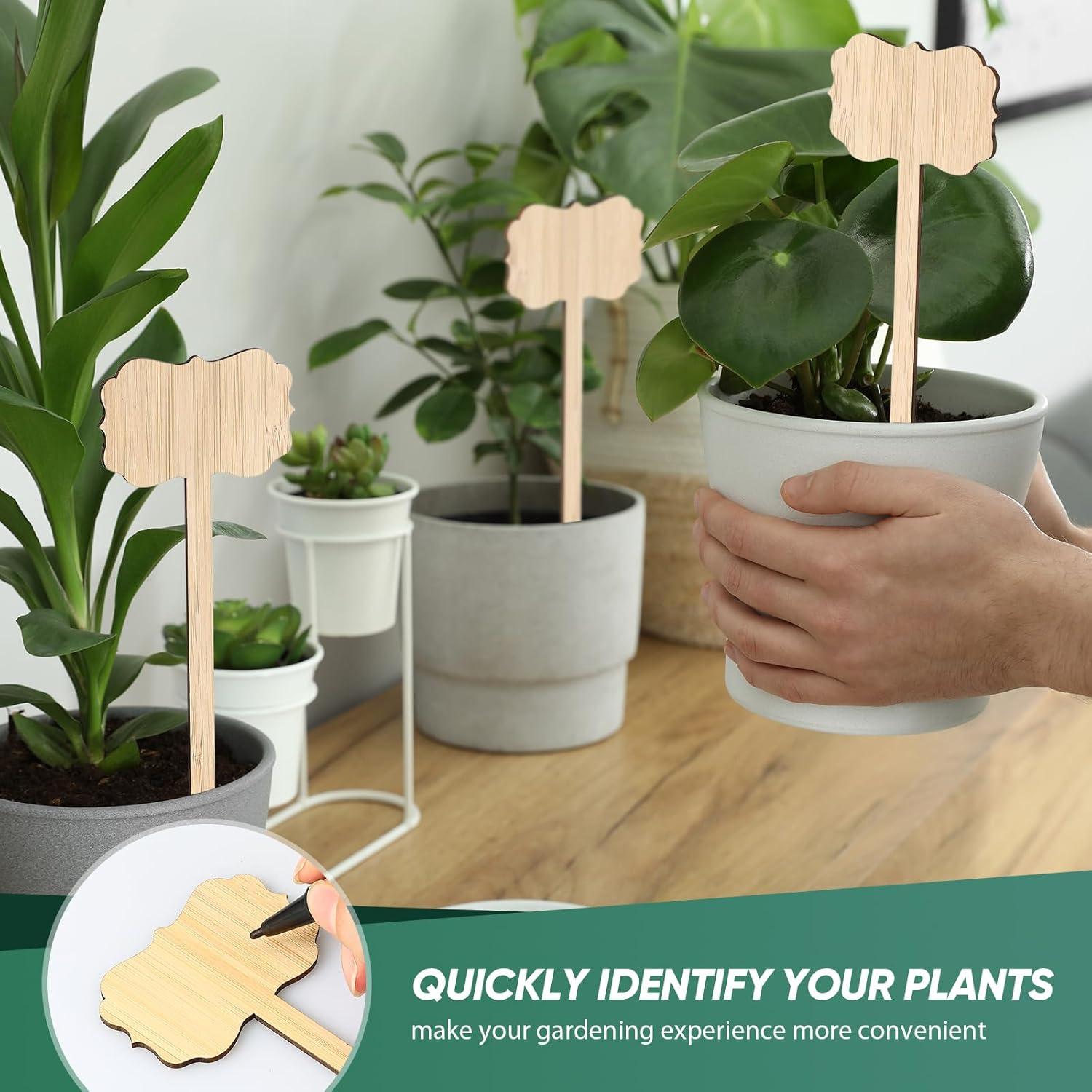 50 Etiquetas de Planta de Bambú Jingmore 20.32 cm Impermeables