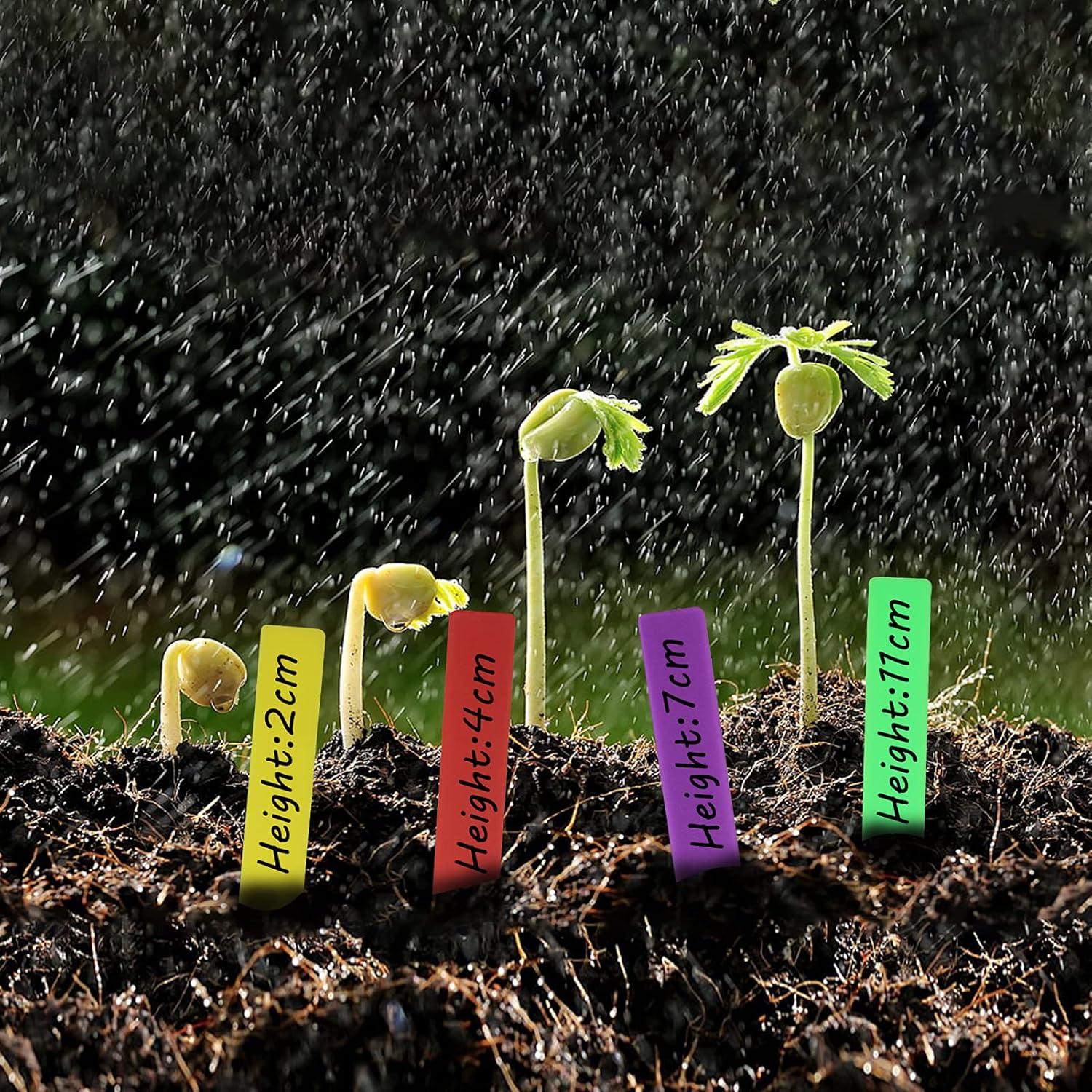 Etiquetas de Plástico para Plantas Mziart 120 Pcs 10 cm Multicolor