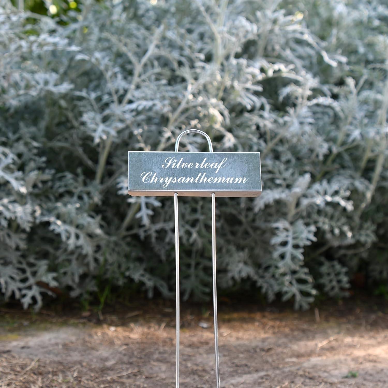 Paquete de 30 Etiquetas de Metal Cureder para Jardín