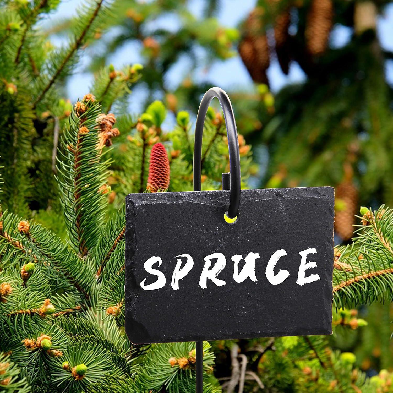 Etiquetas para Plantas FORUP, 10pcs Pizarra Reutilizables