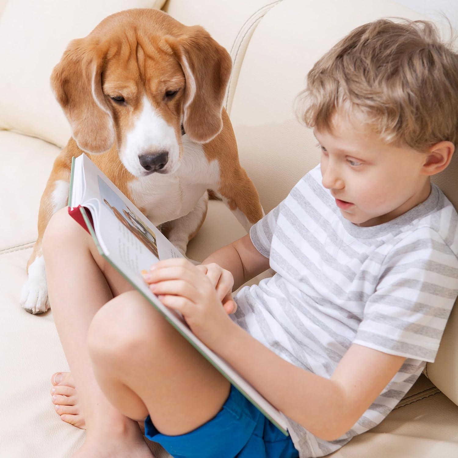 Escaleras para Mascotas PETMAKER 4 Escalones Antideslizantes Gris