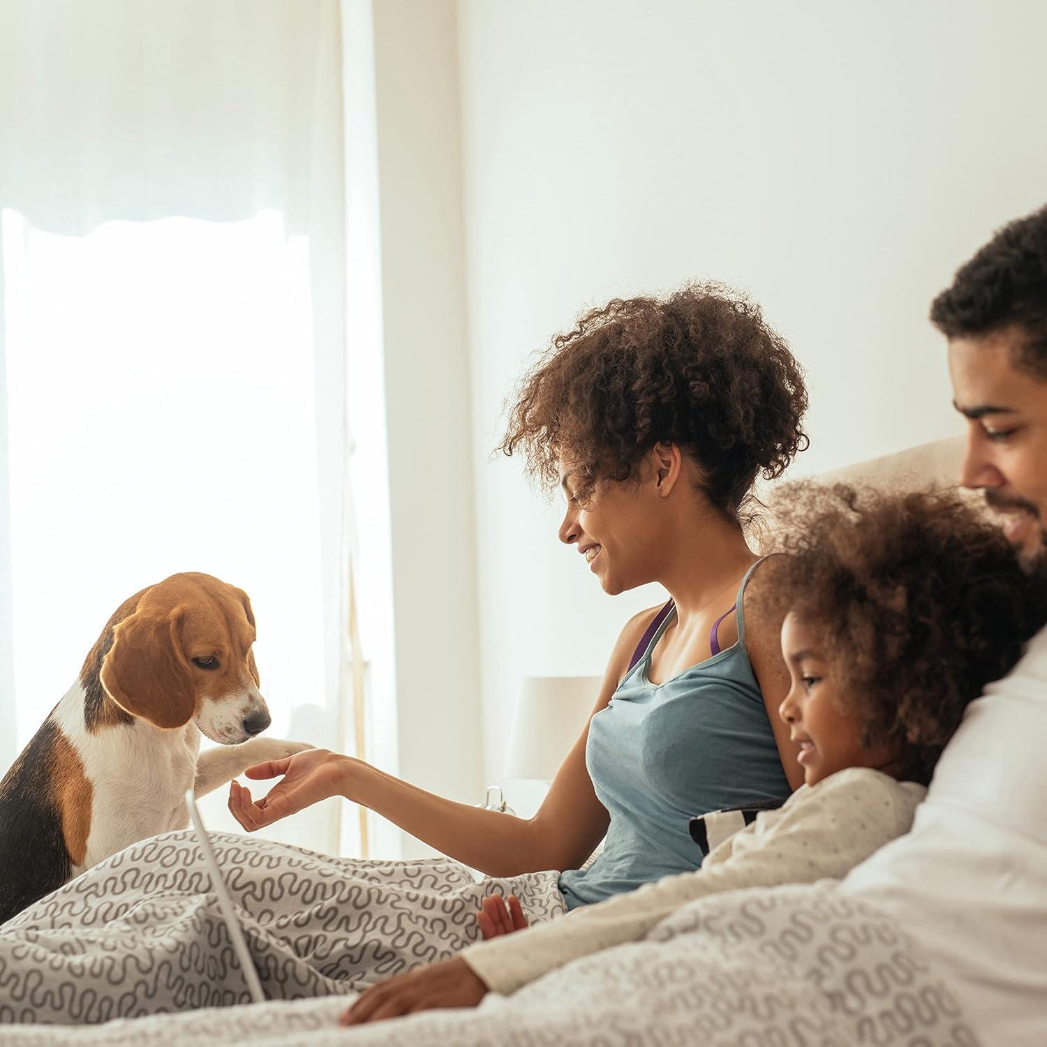 Escaleras para Mascotas PETMAKER 4 Escalones Antideslizantes Gris