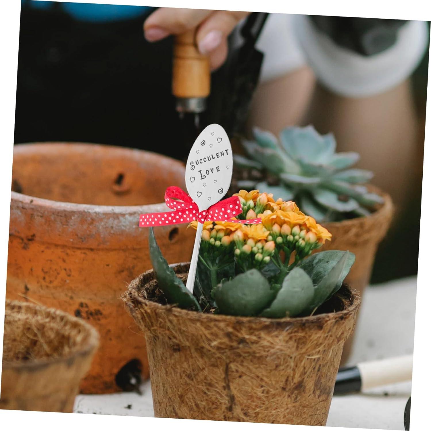 Marcadores de Plantas de Jardín Totority Hierro Plateado 17.5cm