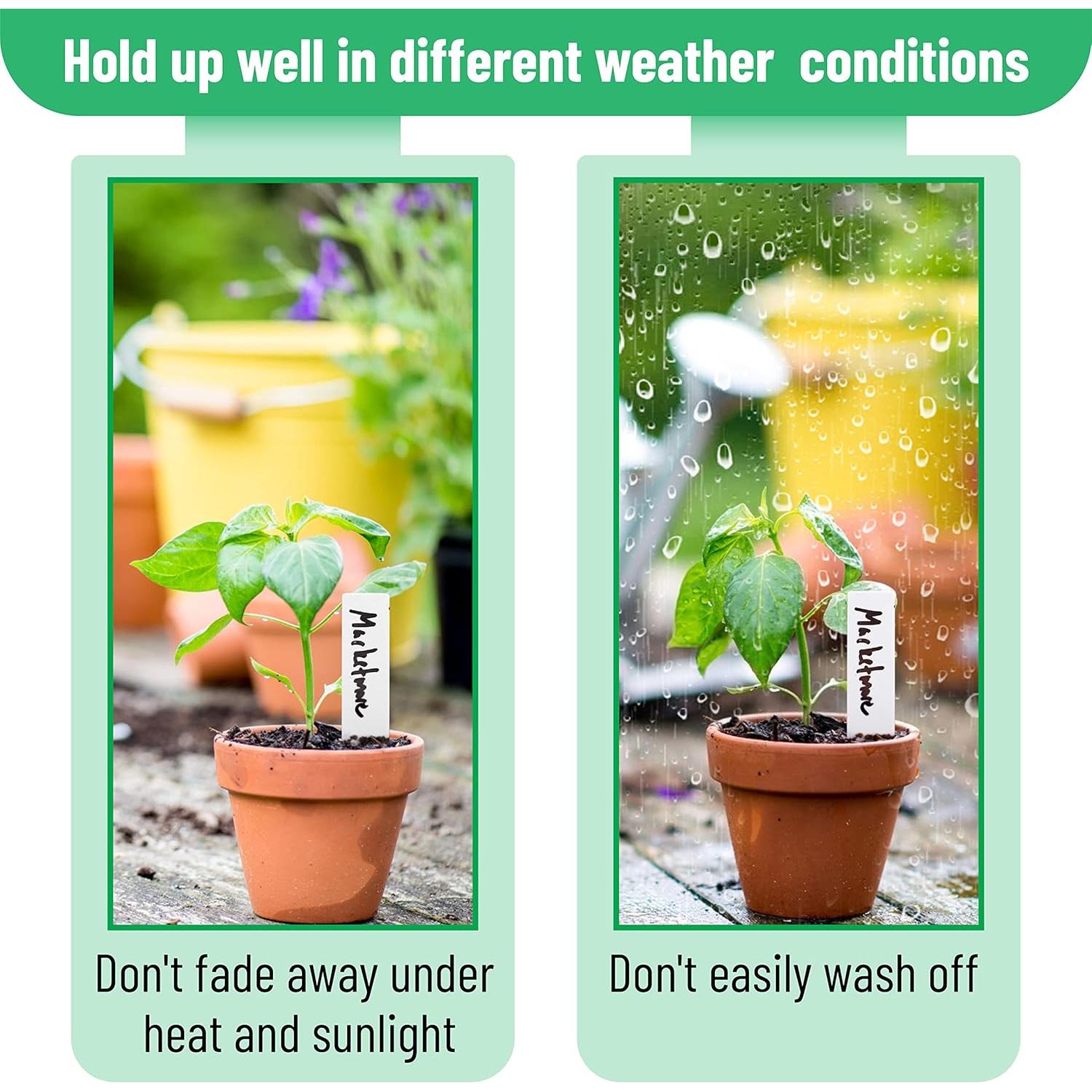 Etiquetas para Plantas Mr. Pen 100 Pcs 10.16 cm Blancas