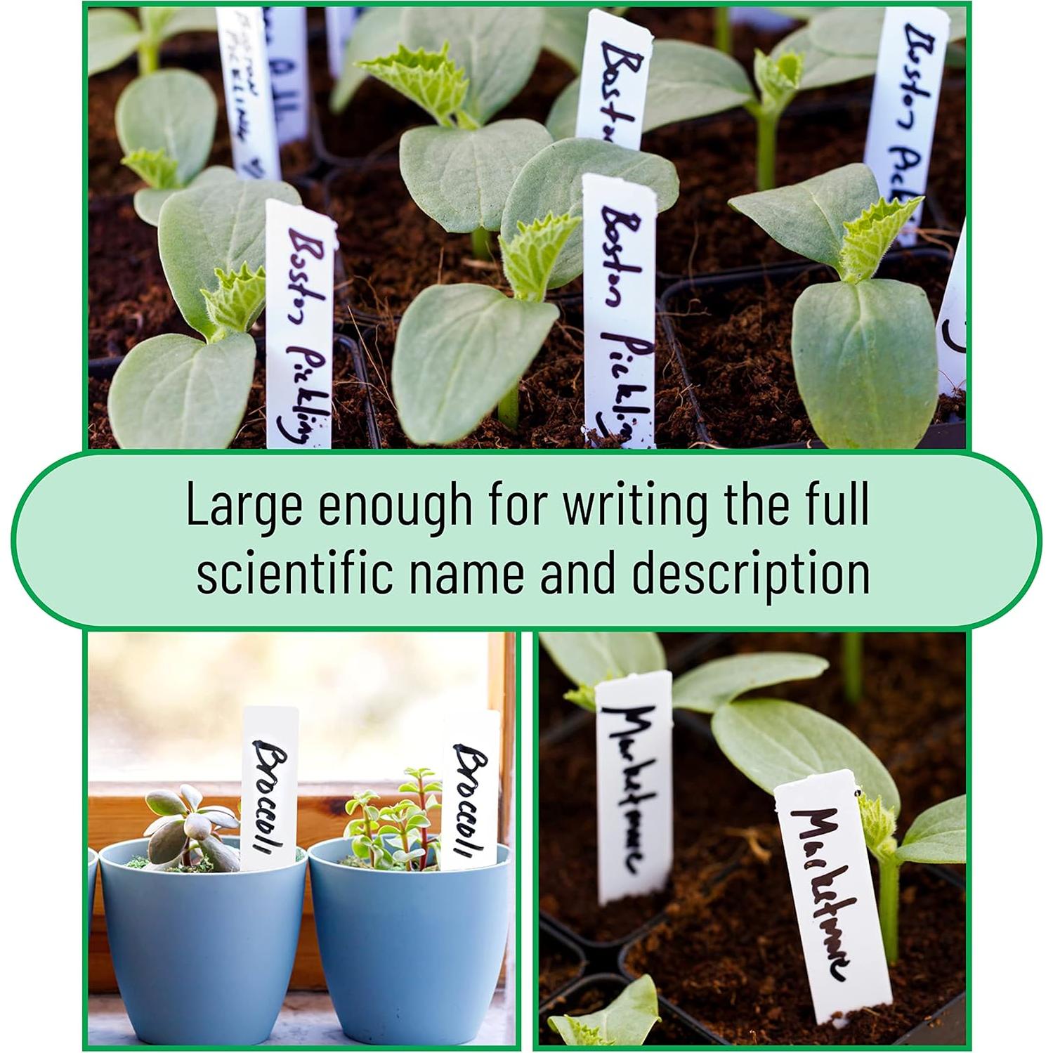 Etiquetas para Plantas Mr. Pen 100 Pcs 10.16 cm Blancas