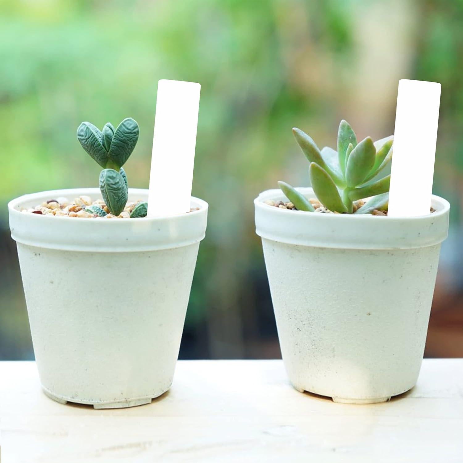 Etiquetas para Plantas Mr. Pen 100 Pcs 10.16 cm Blancas