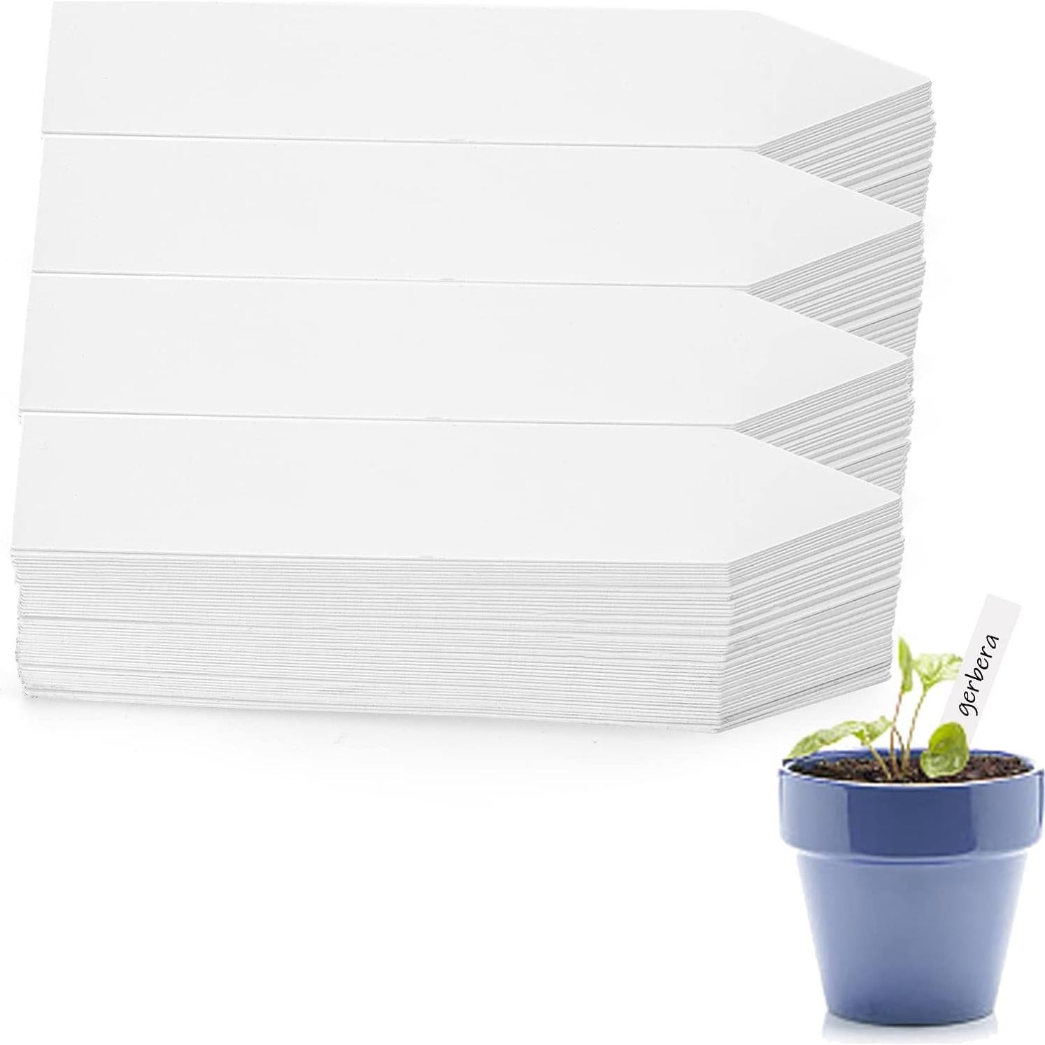 Etiquetas de Plantas Blancas 1000 Pcs Foraineam 10x2 cm