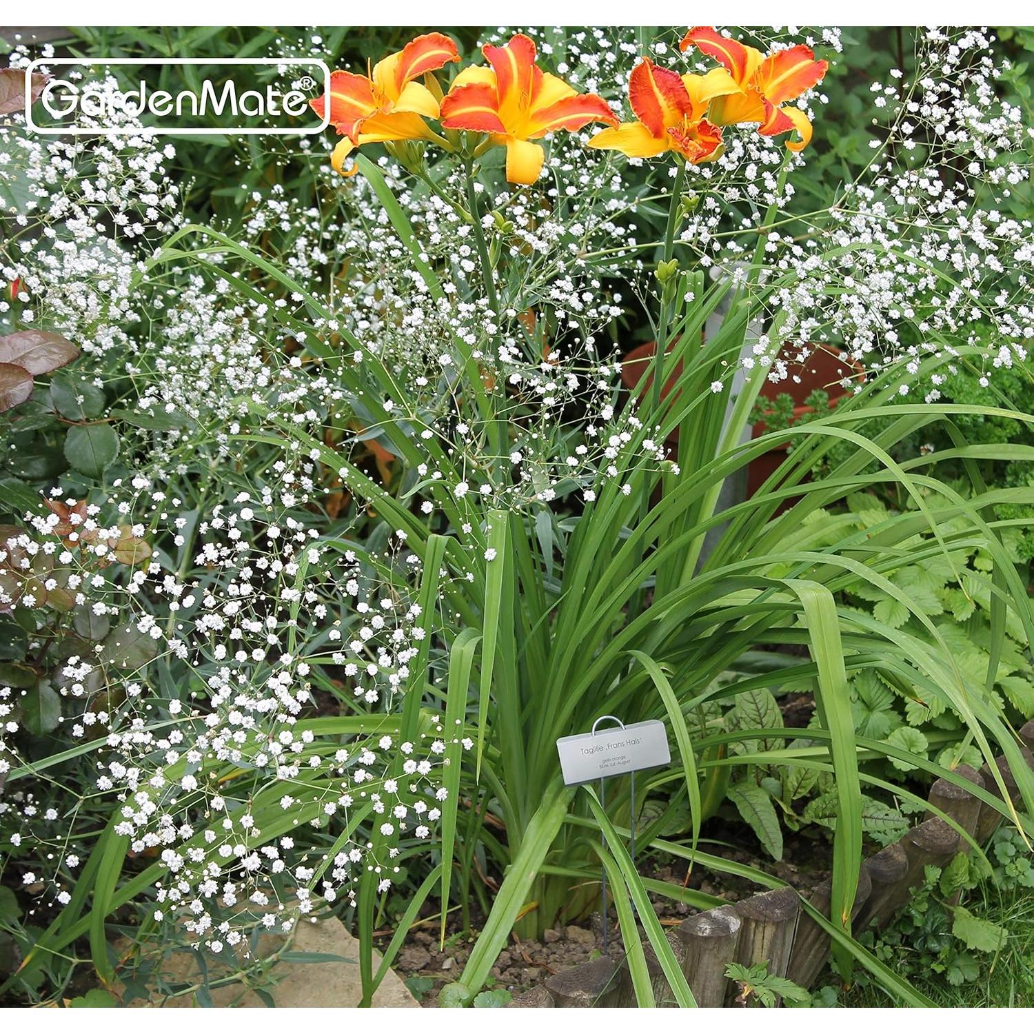 Etiquetas de Metal para Plantas GardenMate 50 Paquetes 29.21 cm