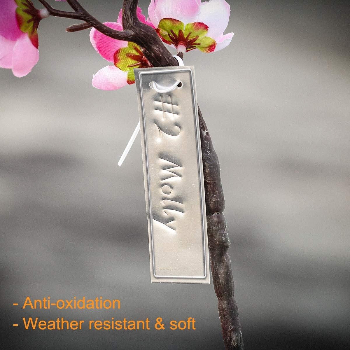 Etiquetas de Plantas Coolrunner de Aluminio 100 Pcs 6 cm