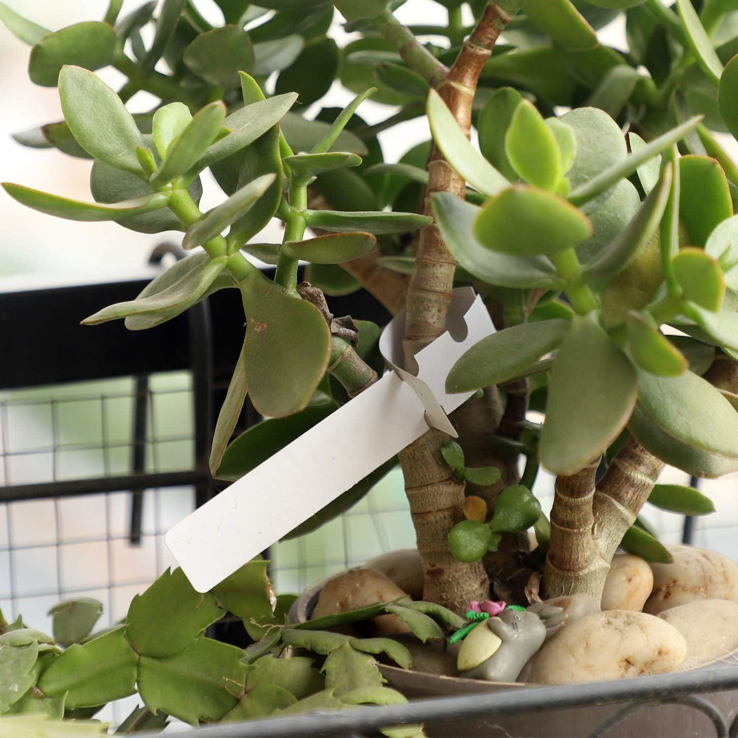 Etiquetas de Plantas KINJOEK 1200 PCS Blancas Ajustables 20cm