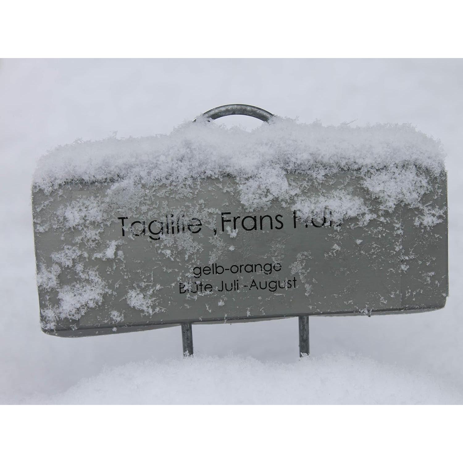 GardenMate 25-Pack Weatherproof XL Metal Plant Labels, Height 21", Label Area 3 1/2'' x 1 1/4''