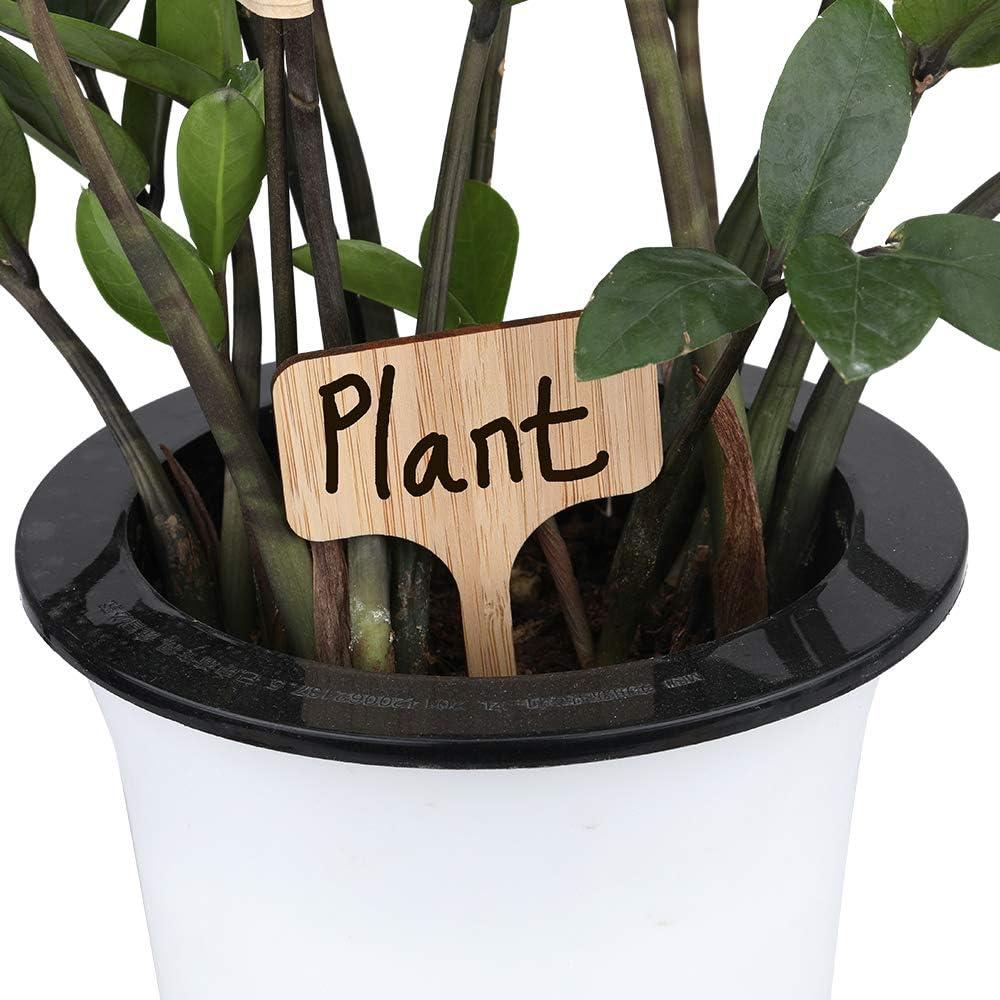 Etiquetas de Plantas de Bambú KINGLAKE 60 Pcs Tipo T Impermeables