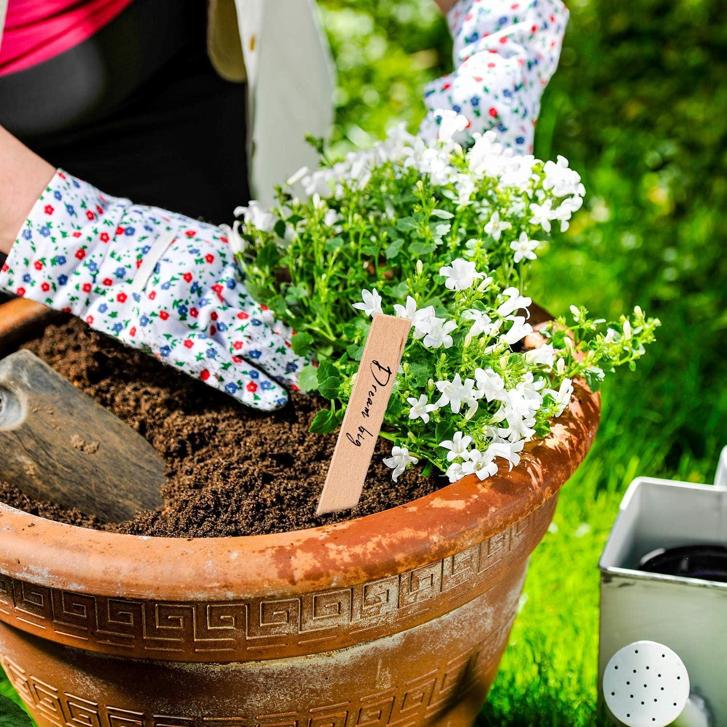 Etiquetas de Madera para Plantas Whaline 100 Pcs 15x2 cm