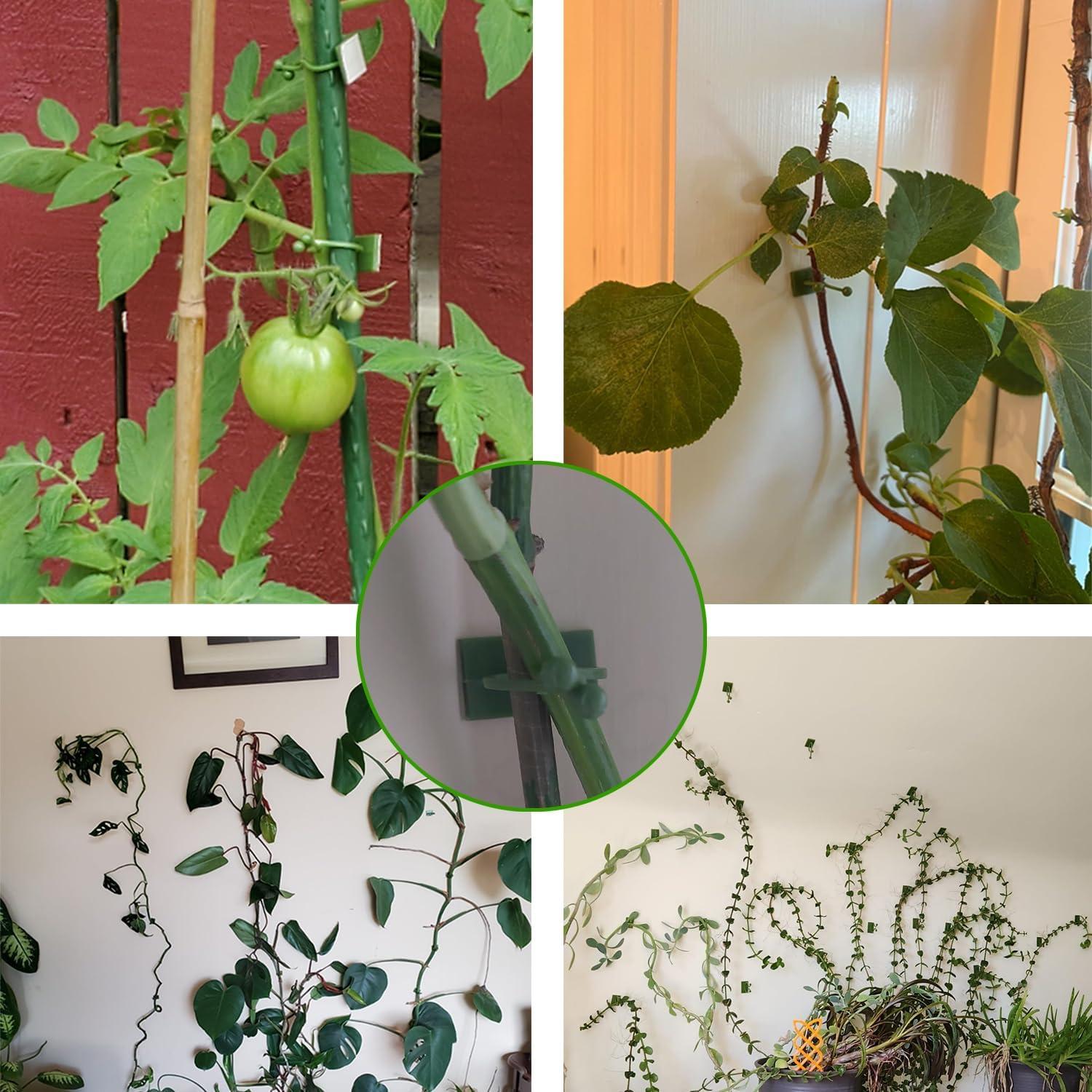 Clips para Trepar Plantas ALLWIN - 120 Piezas Verde