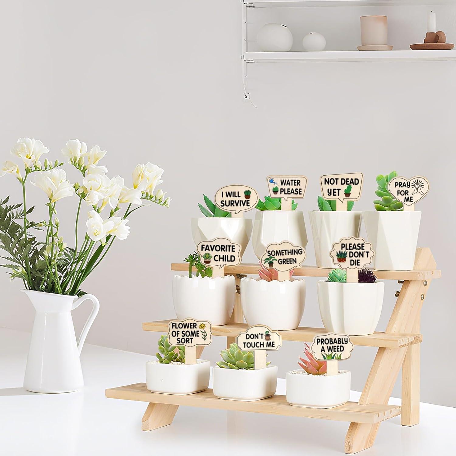 Set de 100 Etiquetas de Madera CEYAZYE para Jardín