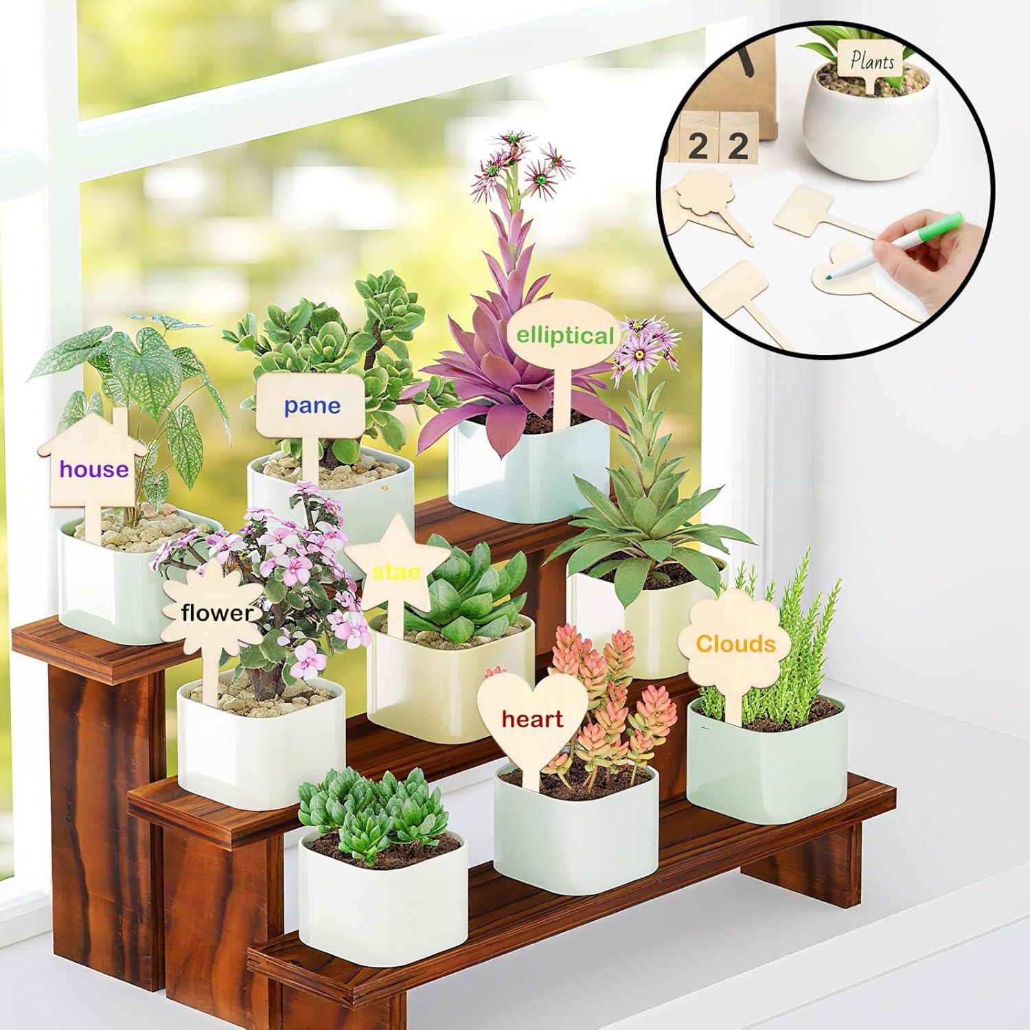 Set de 100 Etiquetas de Madera CEYAZYE para Jardín