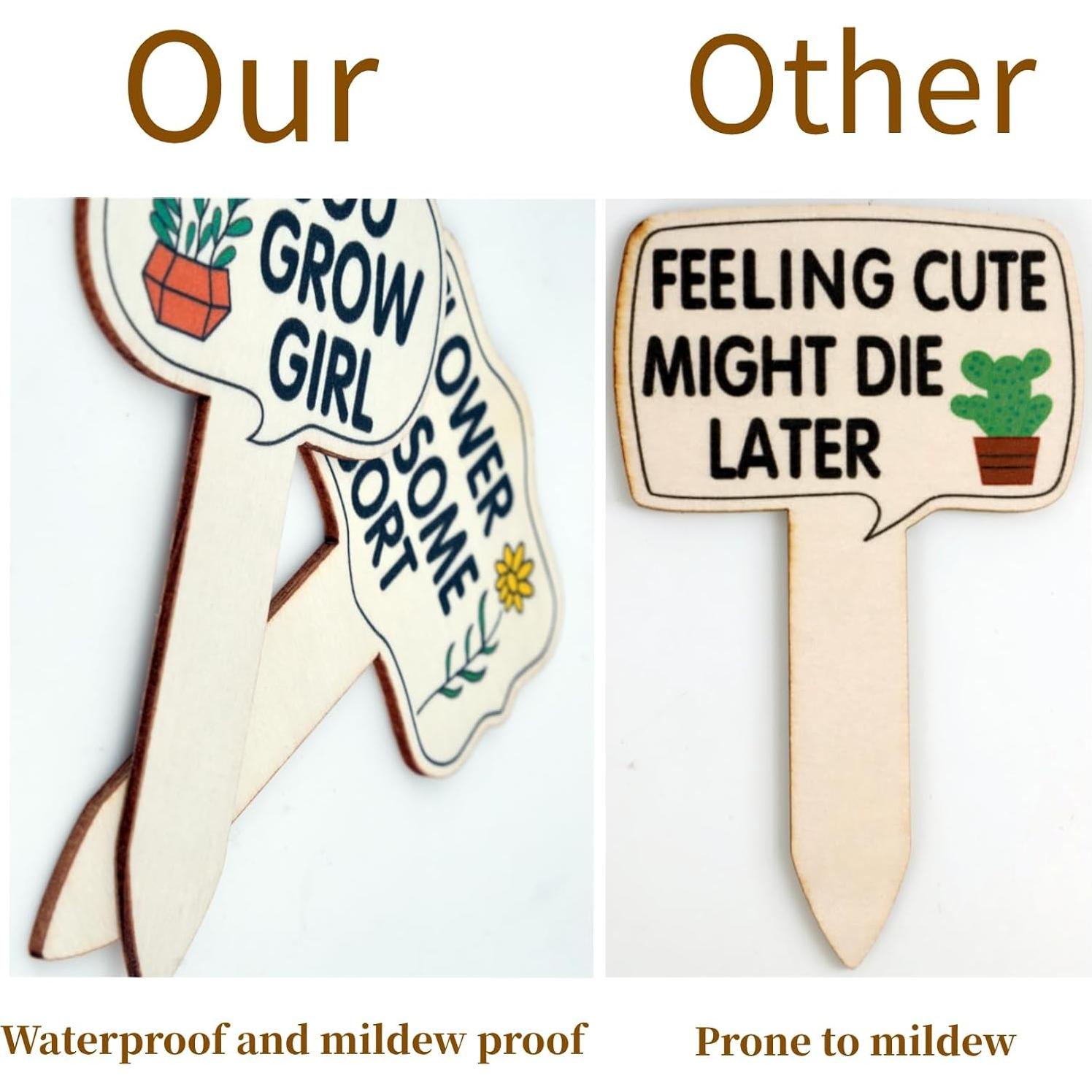 Set de 100 Etiquetas de Madera CEYAZYE para Jardín